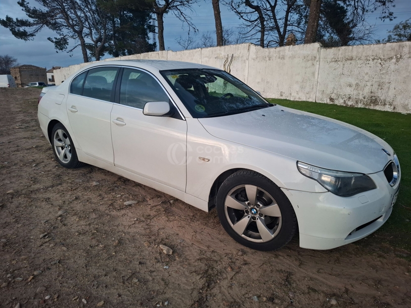 Foto del BMW Serie 5 525d