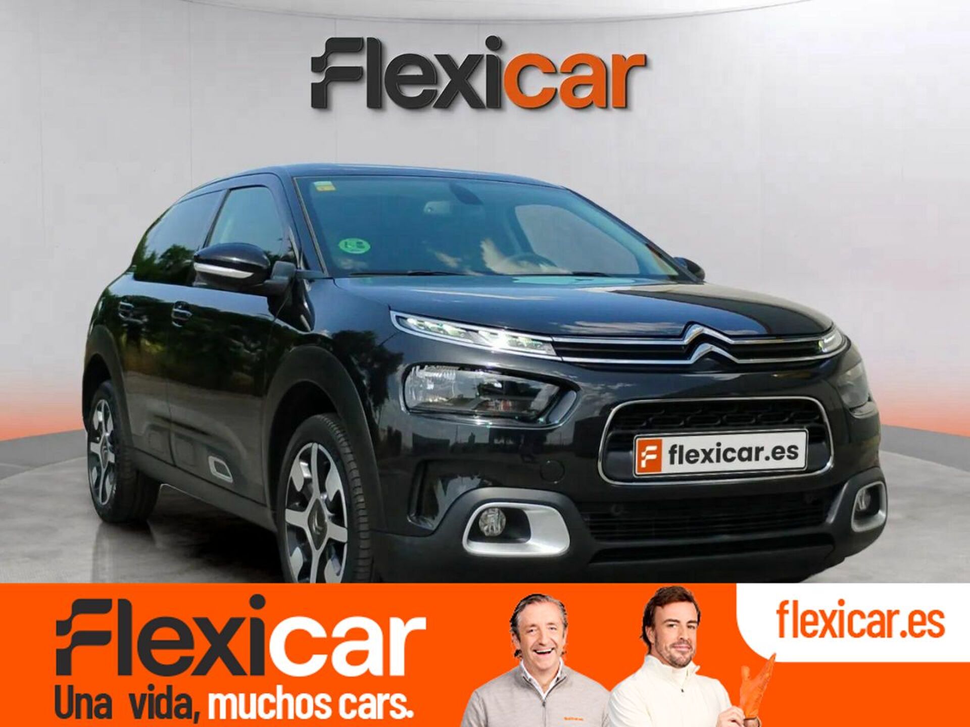 Imagen de CITROEN C4 Cactus