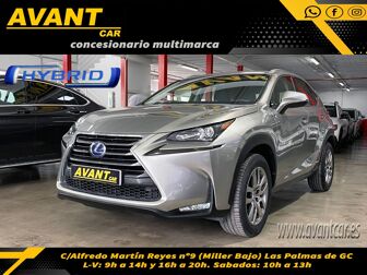 Imagen de LEXUS UX 250h Business Navigation 2WD