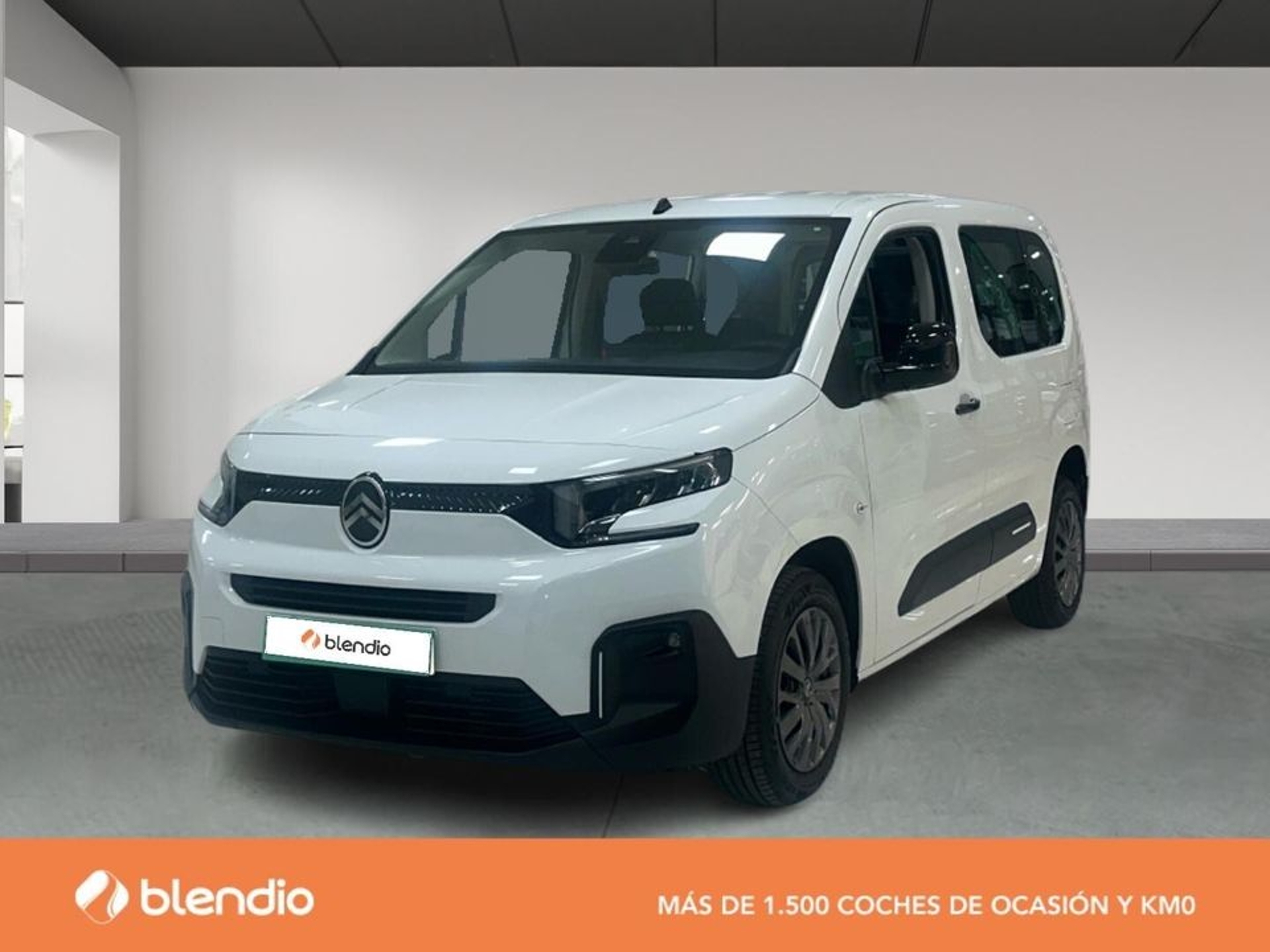 Imagen de CITROEN Berlingo