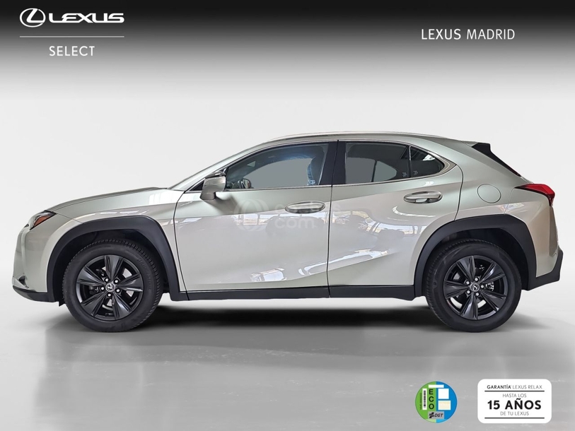 Foto del LEXUS UX 250h Business 4WD