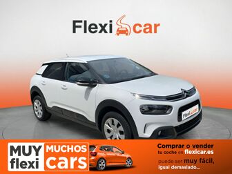 Imagen de CITROEN C4 Cactus 1.5BlueHDi S&S Live 100