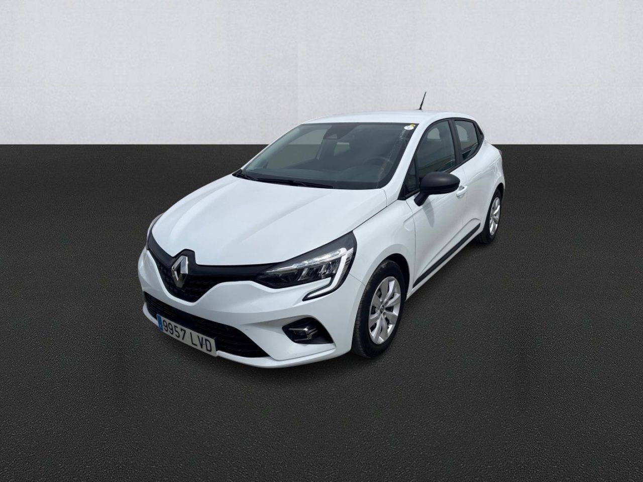 RENAULT Clio (Business Blue dCi 74 kW (100 CV)) en Madrid