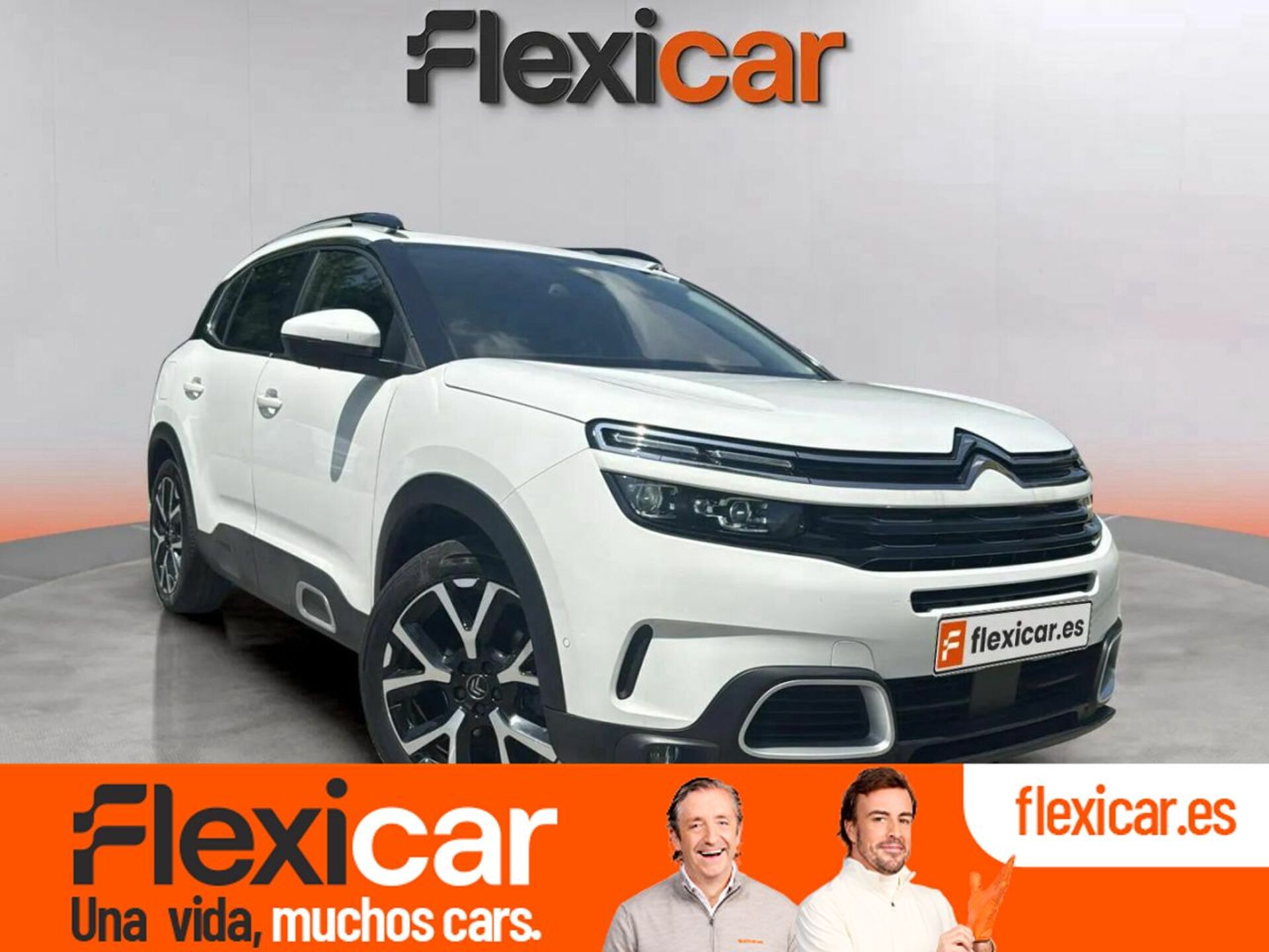 Imagen de CITROEN C5 Aircross