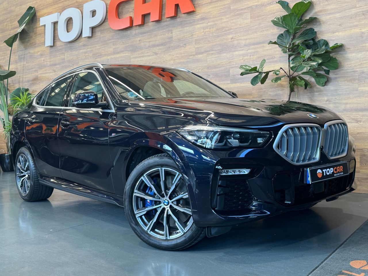 BMW X6 (3.0 Xdrive Pack M) en Vizcaya