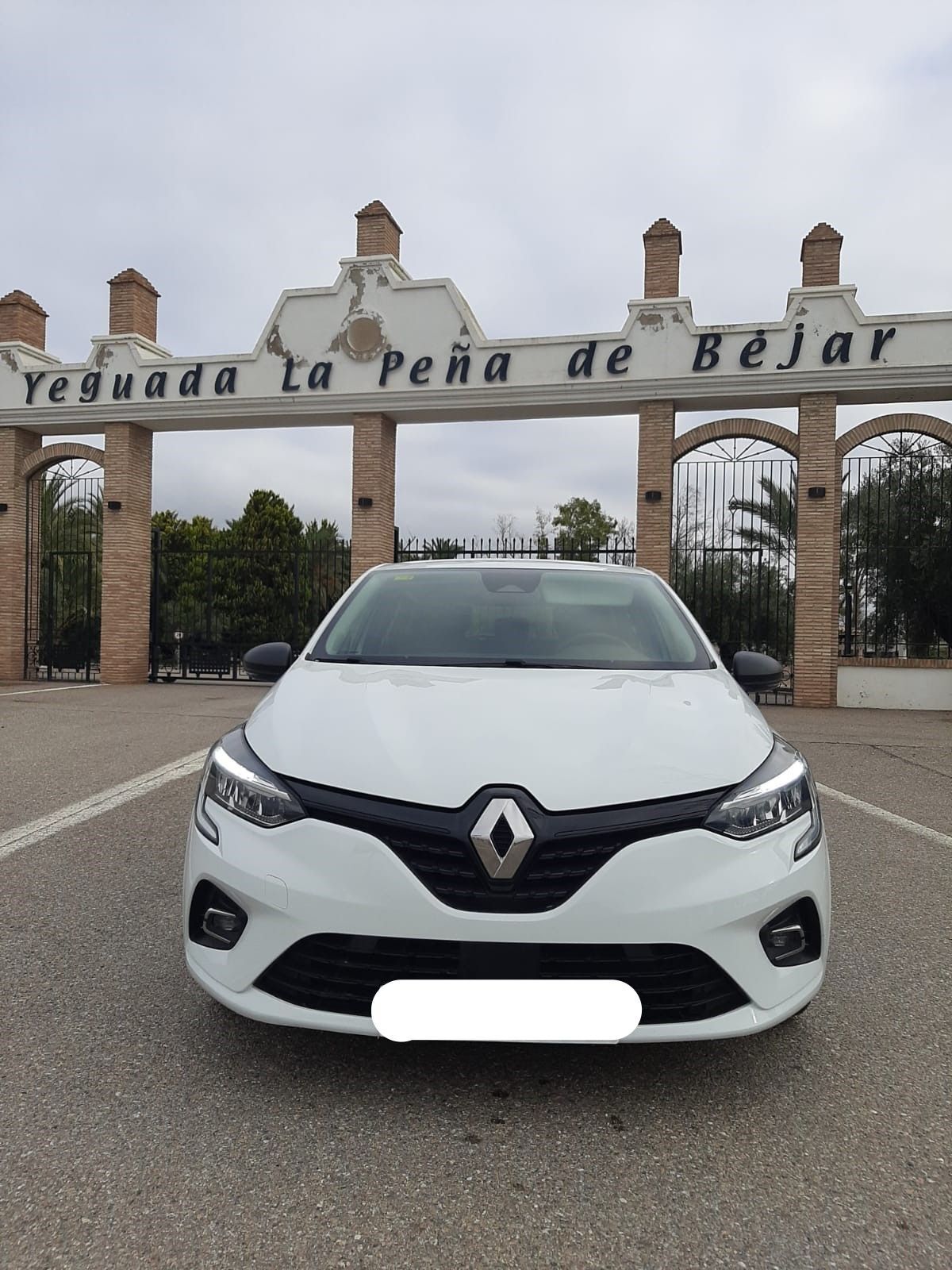 Foto del RENAULT Clio Blue dCi Business 63kW