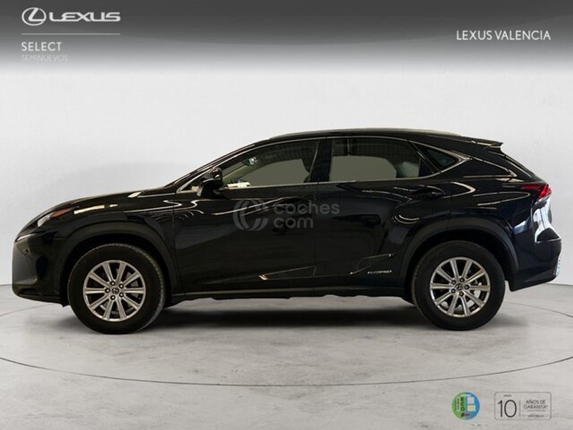 Foto del LEXUS NX 300h Business Navigation 2WD
