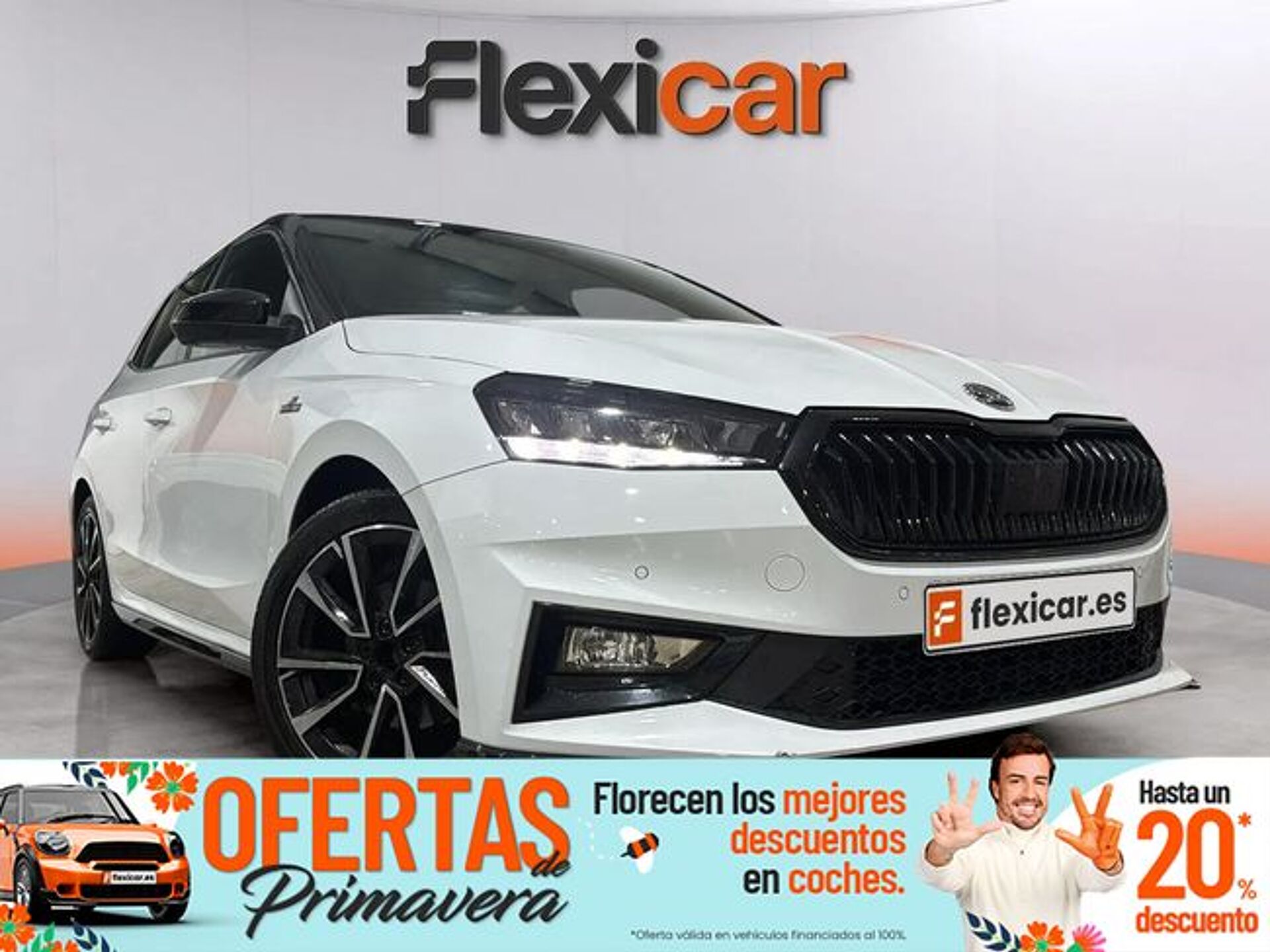 Imagen 1 de SKODA Fabia