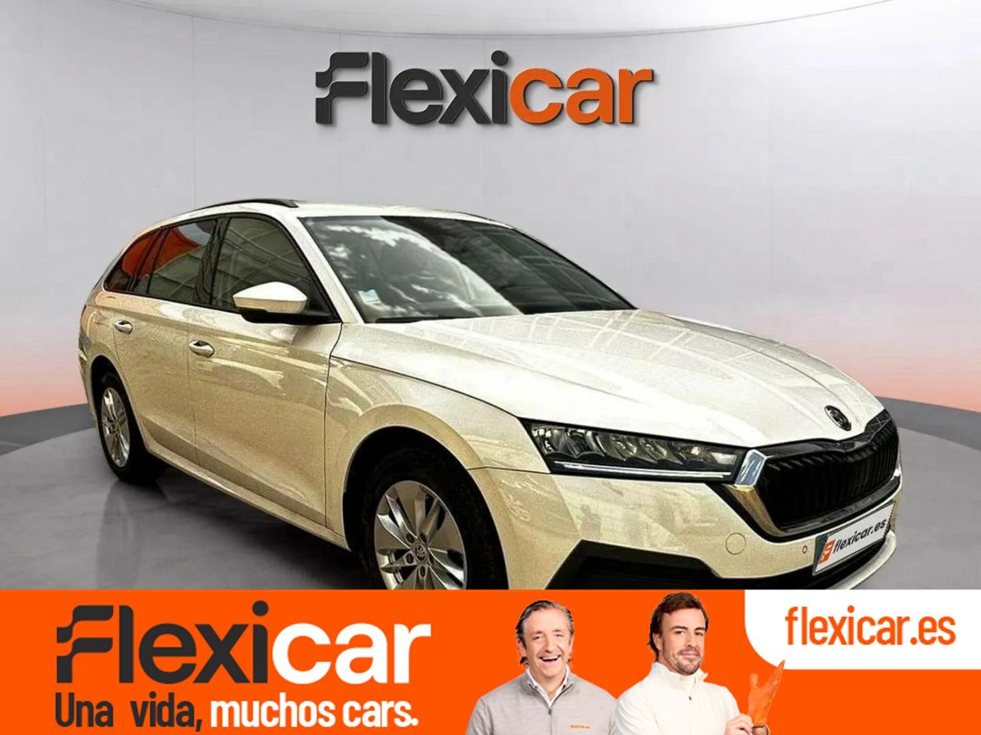 Imagen de SKODA Octavia
