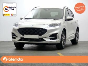 Imagen de FORD Kuga 1.5 EcoBoost ST-Line FWD 150