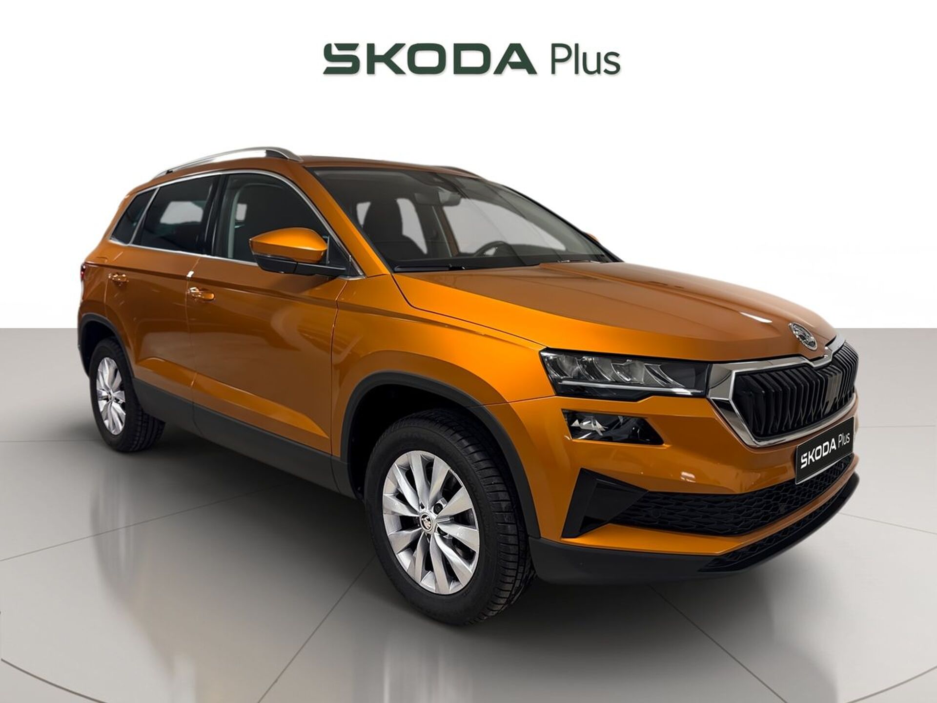 Imagen 1 de SKODA Karoq