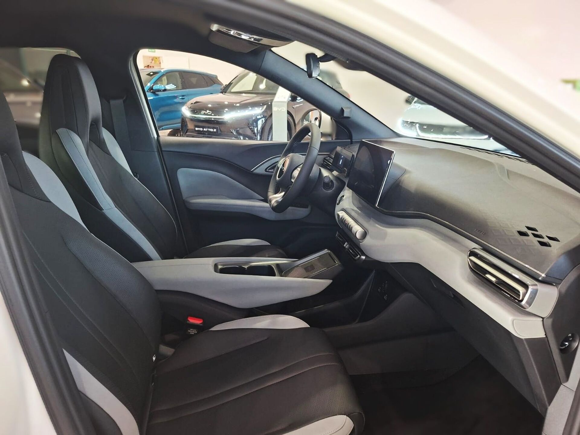 Imagen 3 de BYD Dolphin Surf