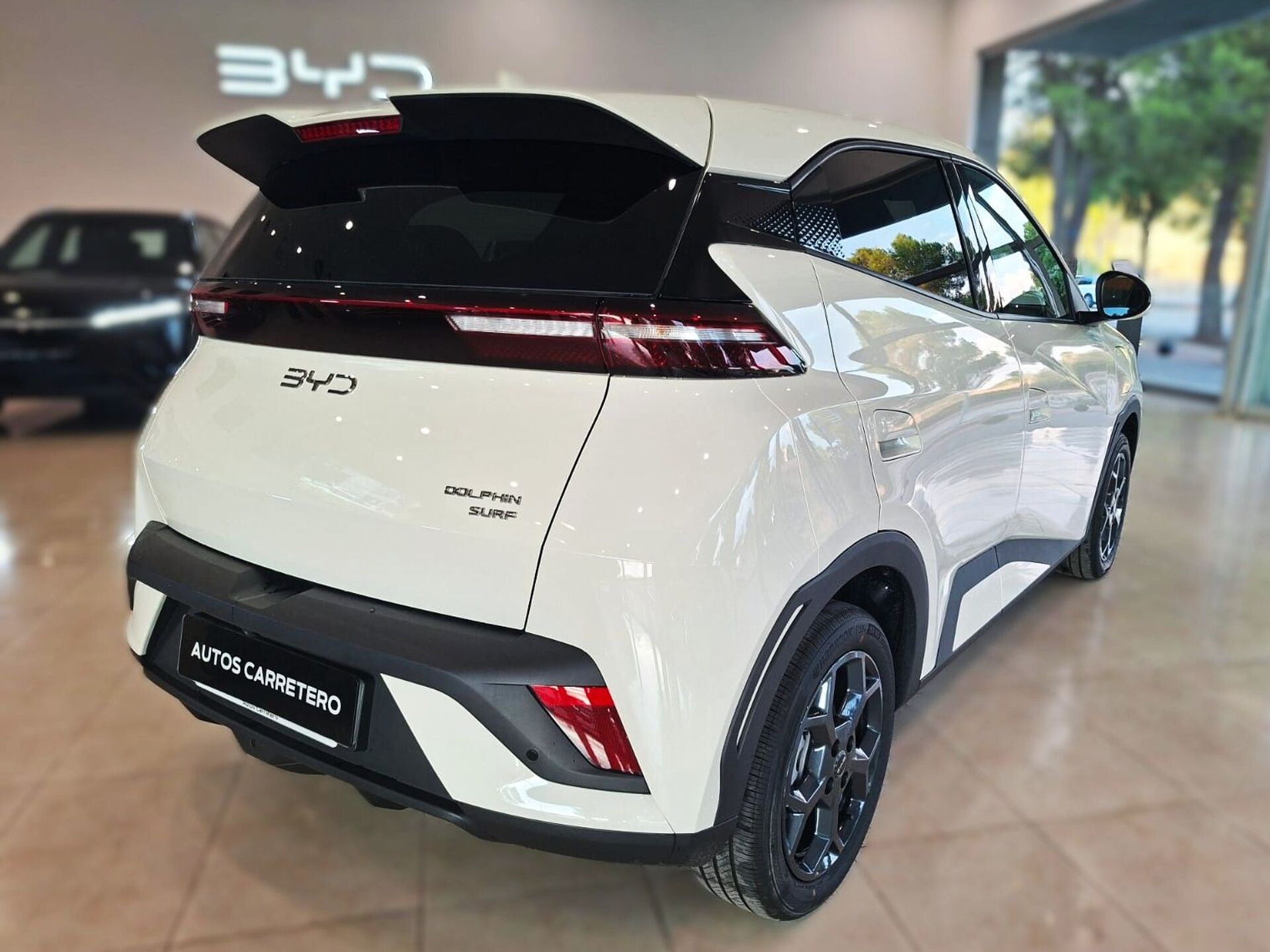 Imagen 2 de BYD Dolphin Surf