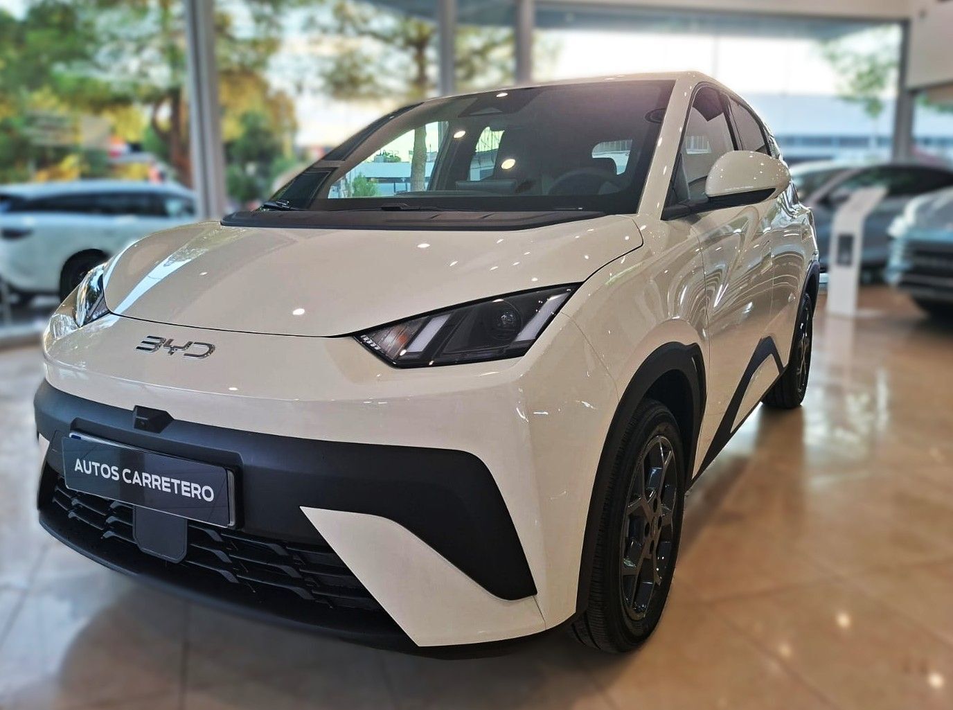 BYD Dolphin Surf (Comfort 220kW) en Ciudad Real