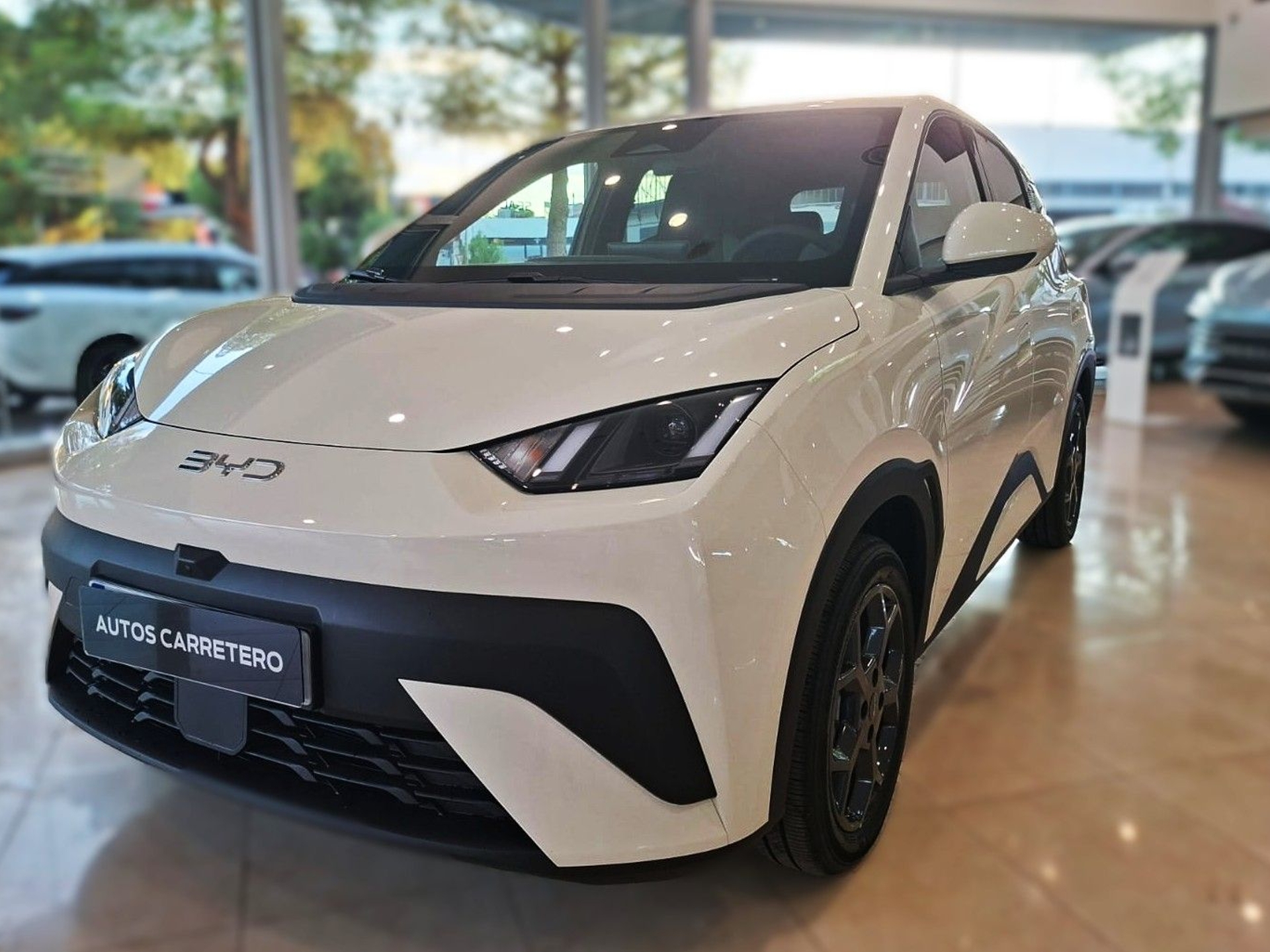 Imagen de BYD Dolphin Surf