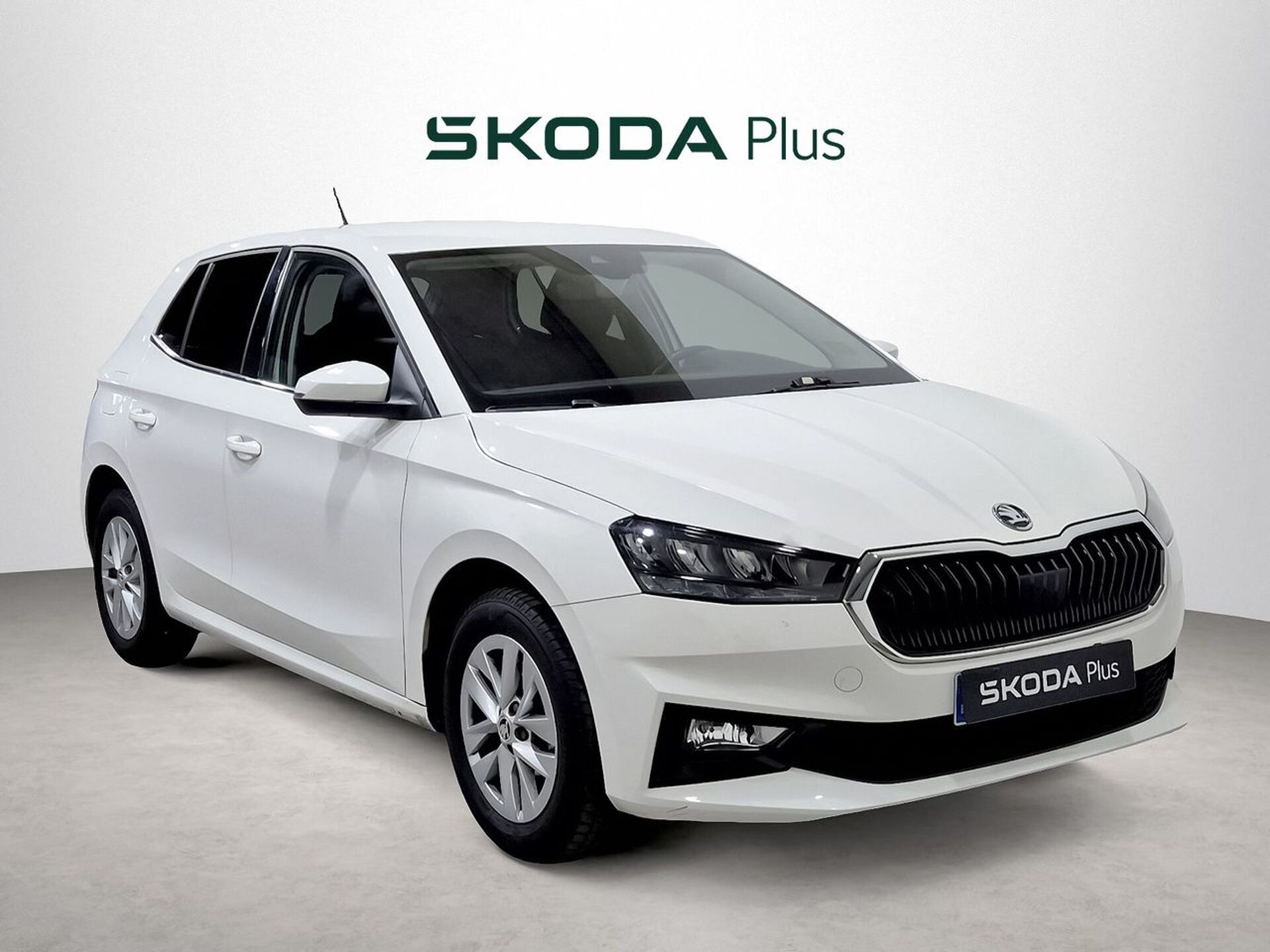 Imagen 1 de SKODA Fabia