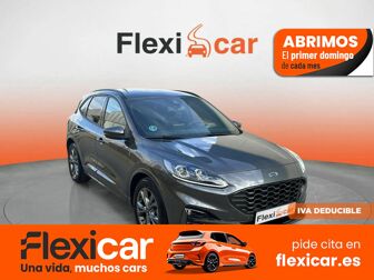 Imagen de FORD Kuga 2.0 EcoBlue ST-Line FWD 120 Aut.