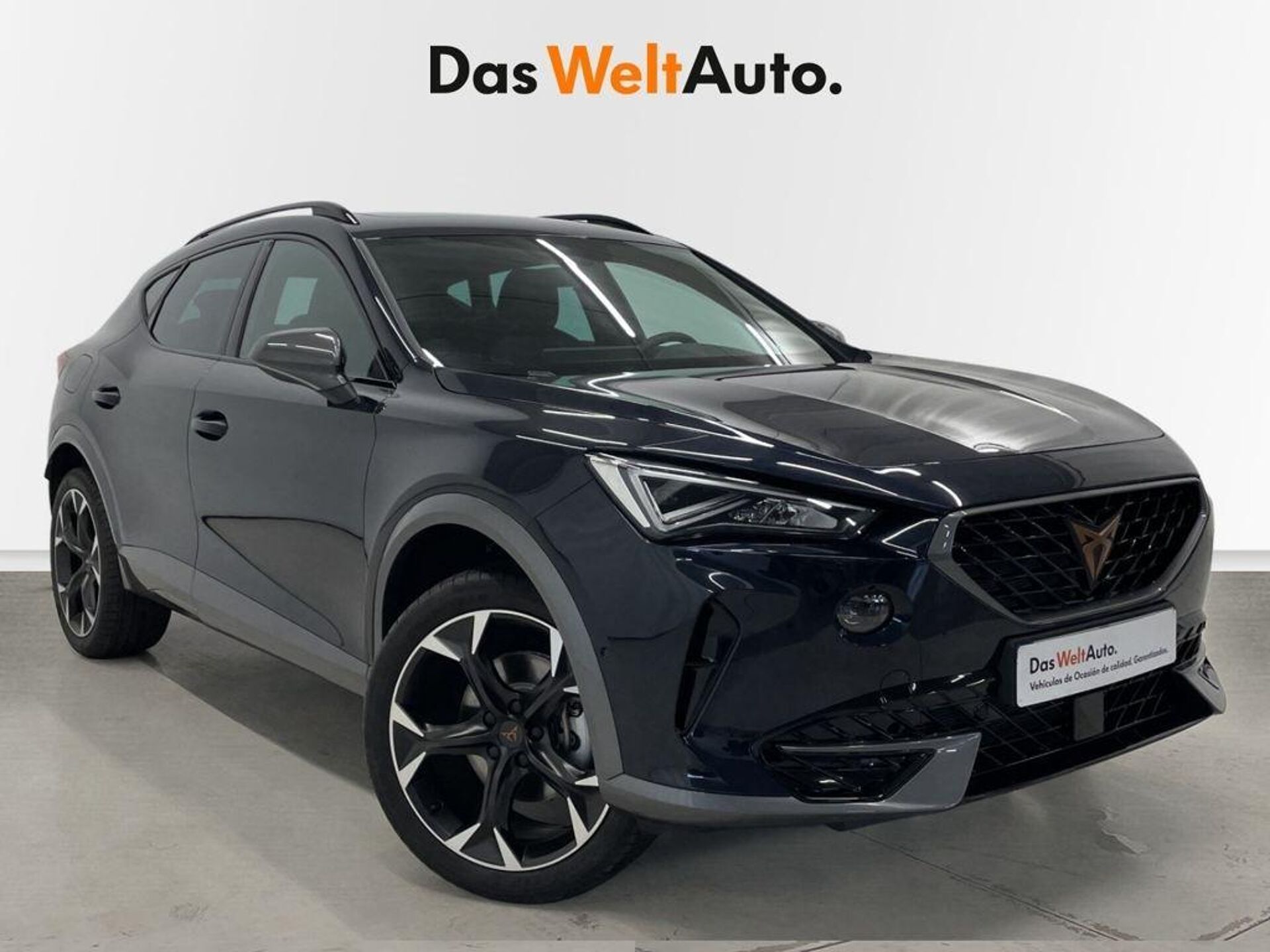 Imagen de CUPRA Formentor