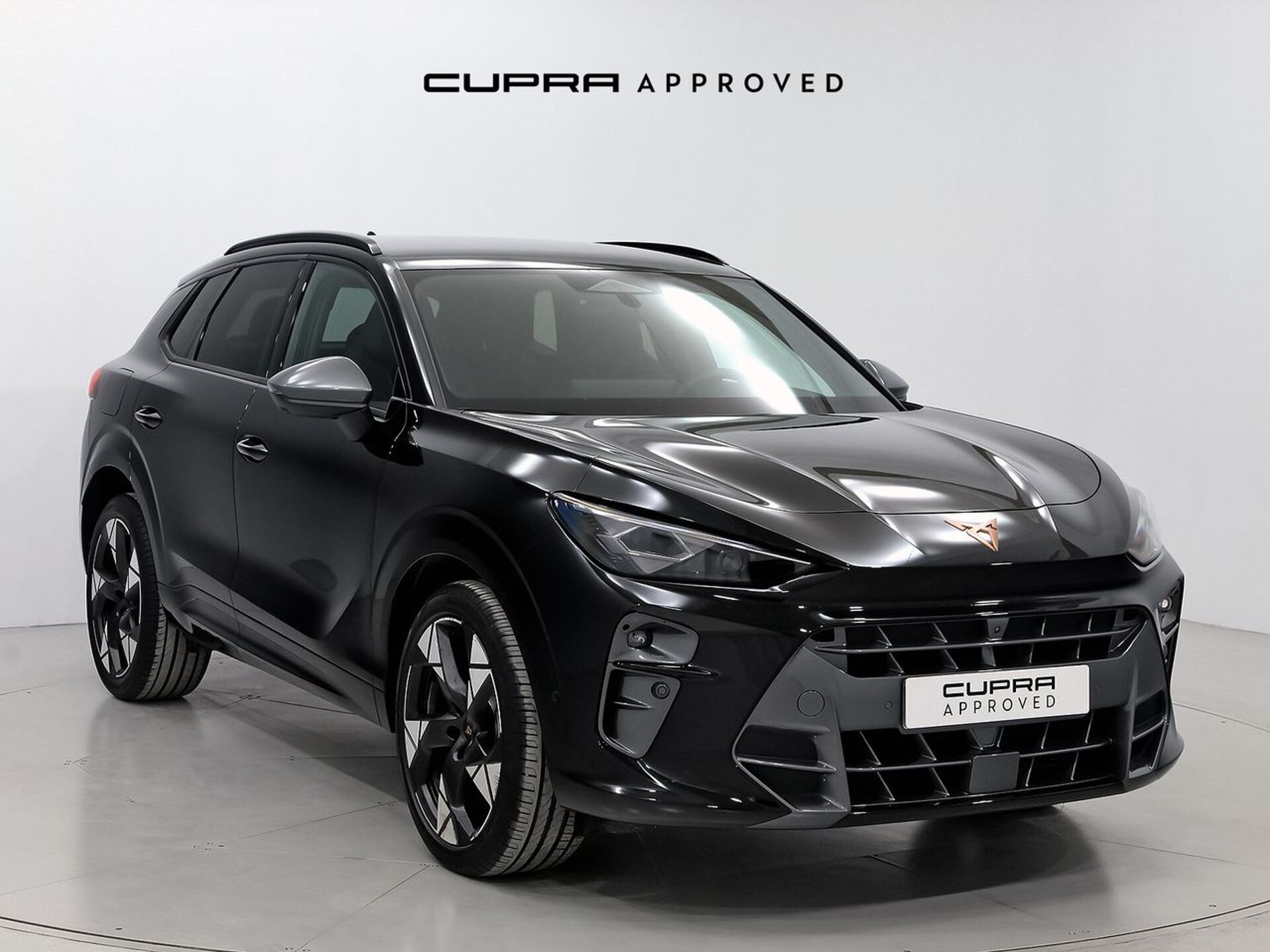 Imagen 1 de CUPRA Terramar