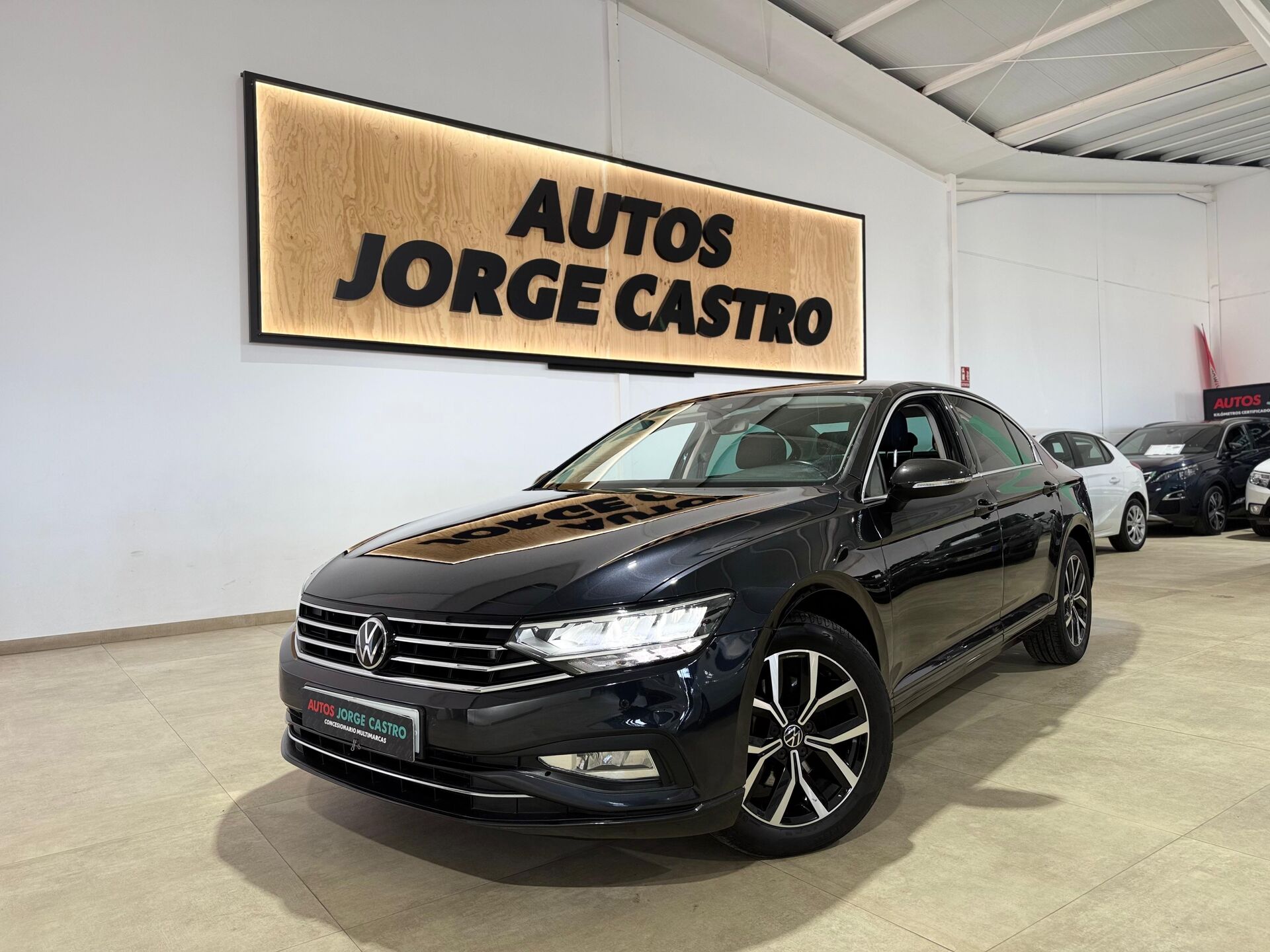 Imagen 1 de VOLKSWAGEN Passat