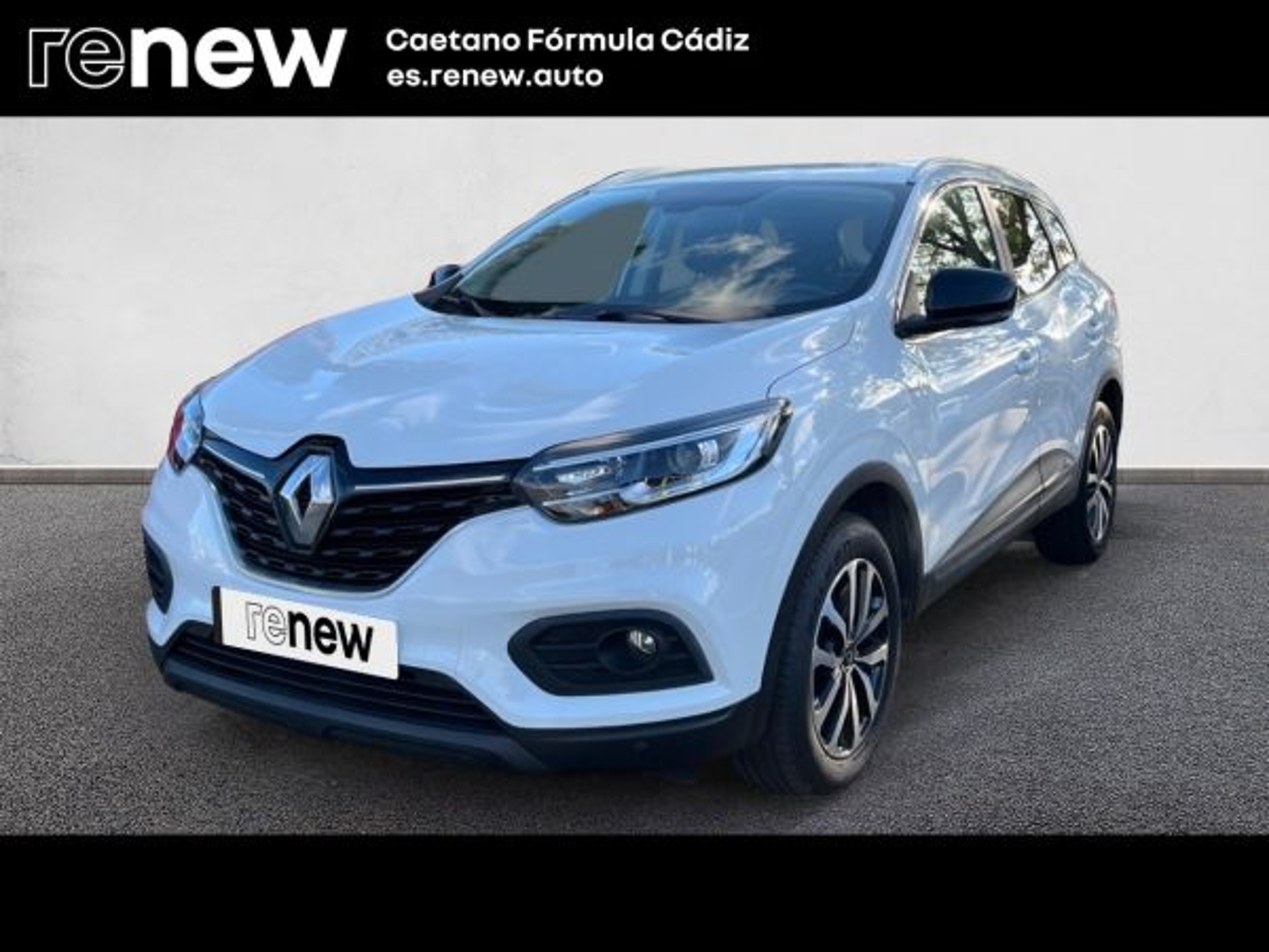 Imagen de RENAULT Kadjar