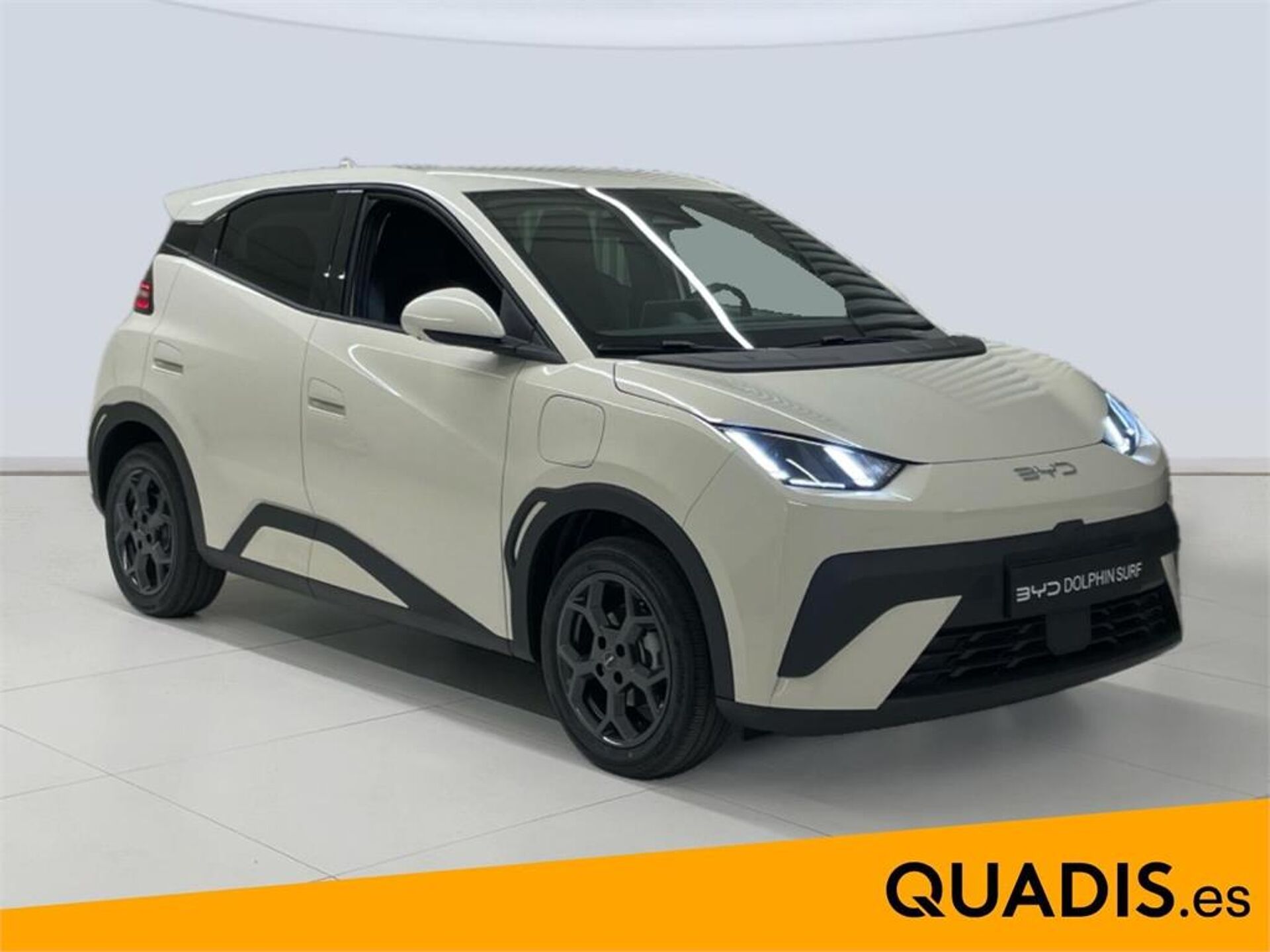 Imagen 3 de BYD Dolphin Surf