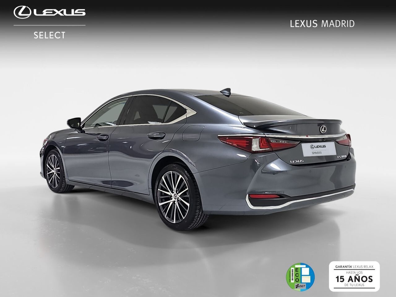 Foto del LEXUS ES 300h Premium