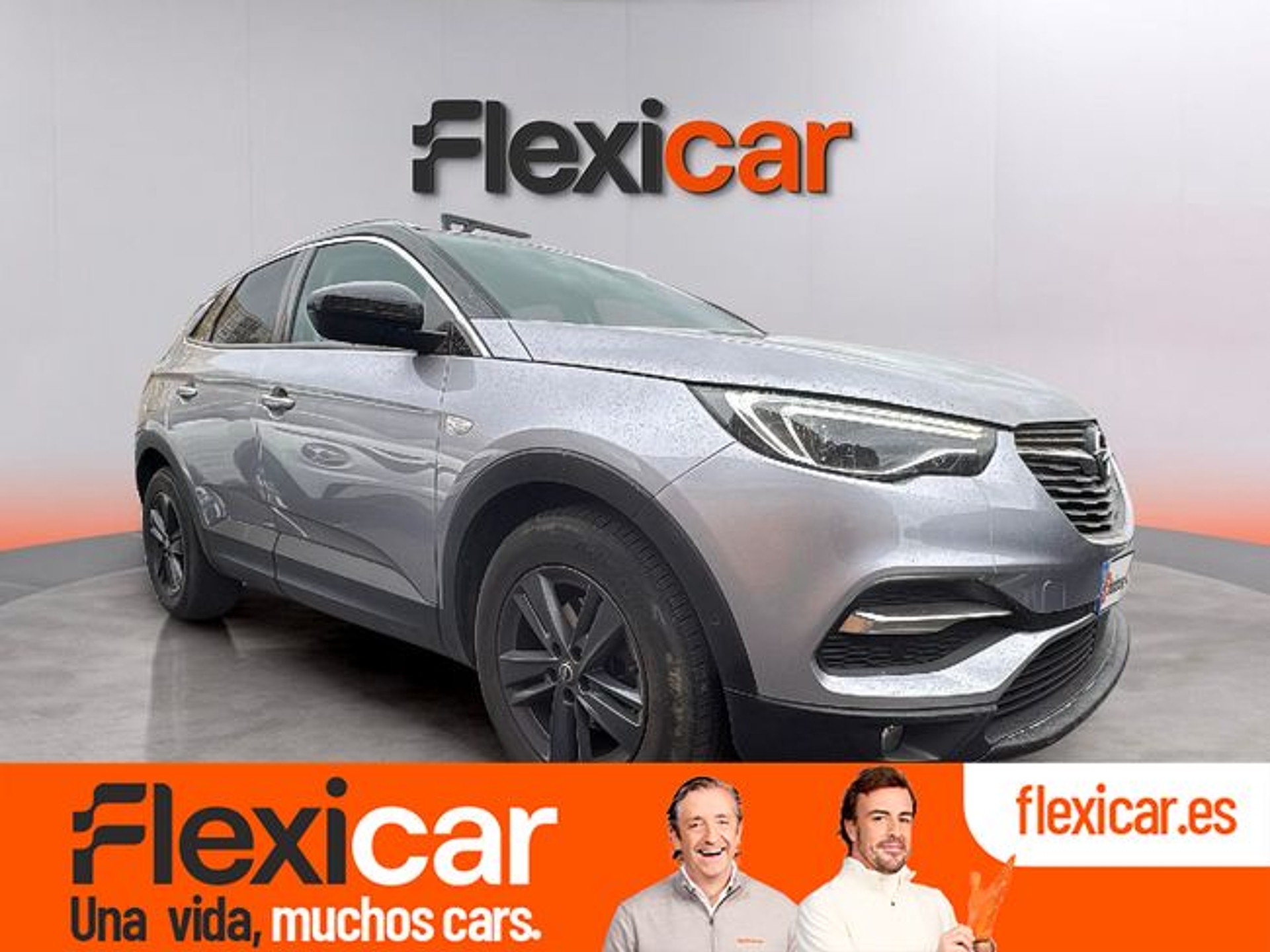 Imagen de OPEL Grandland X
