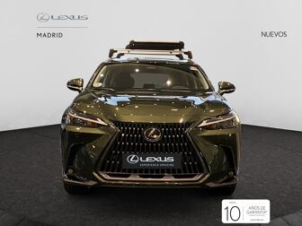 Imagen de LEXUS NX 350h Business City 2WD