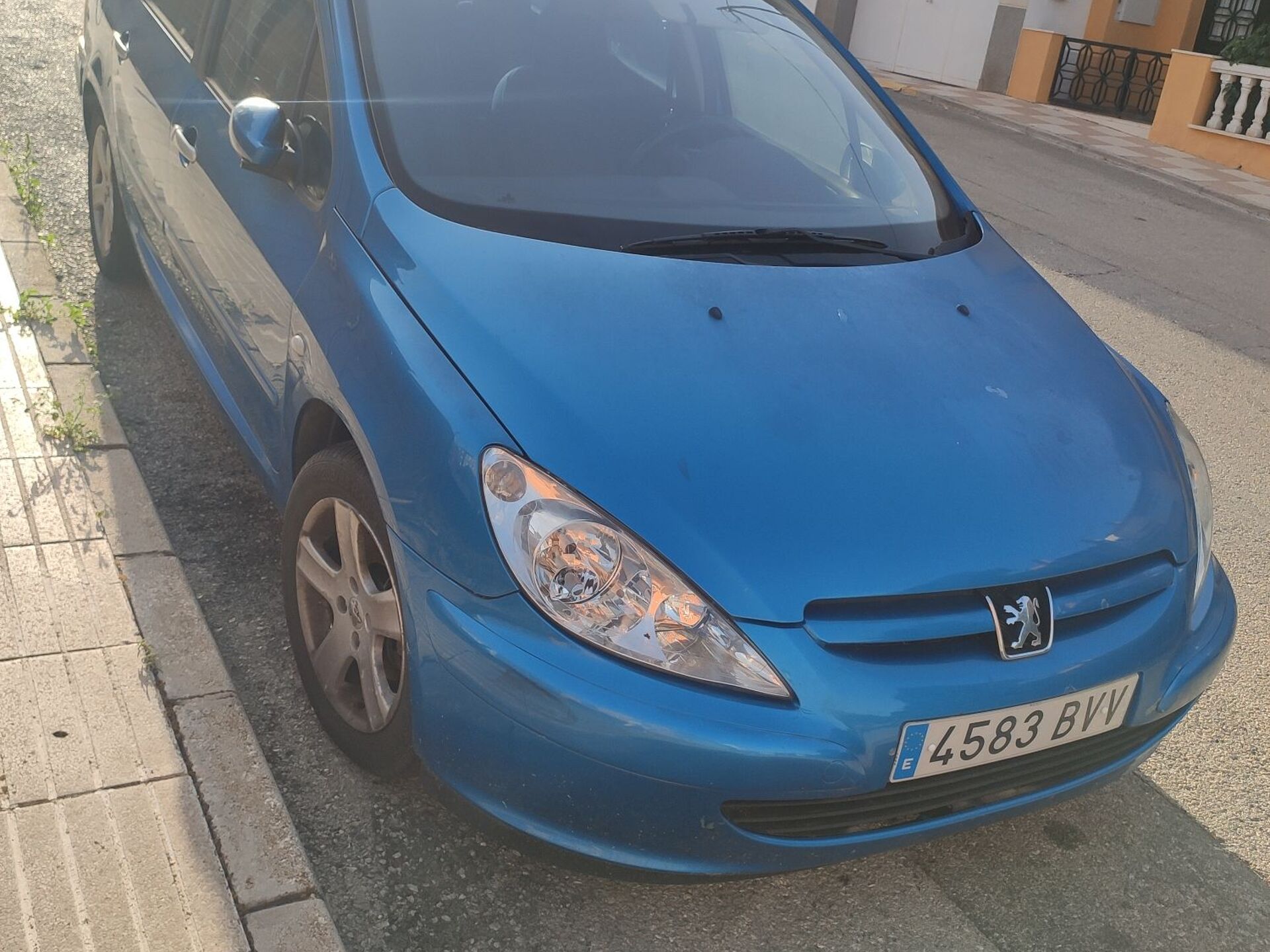 Imagen 2 de PEUGEOT 307