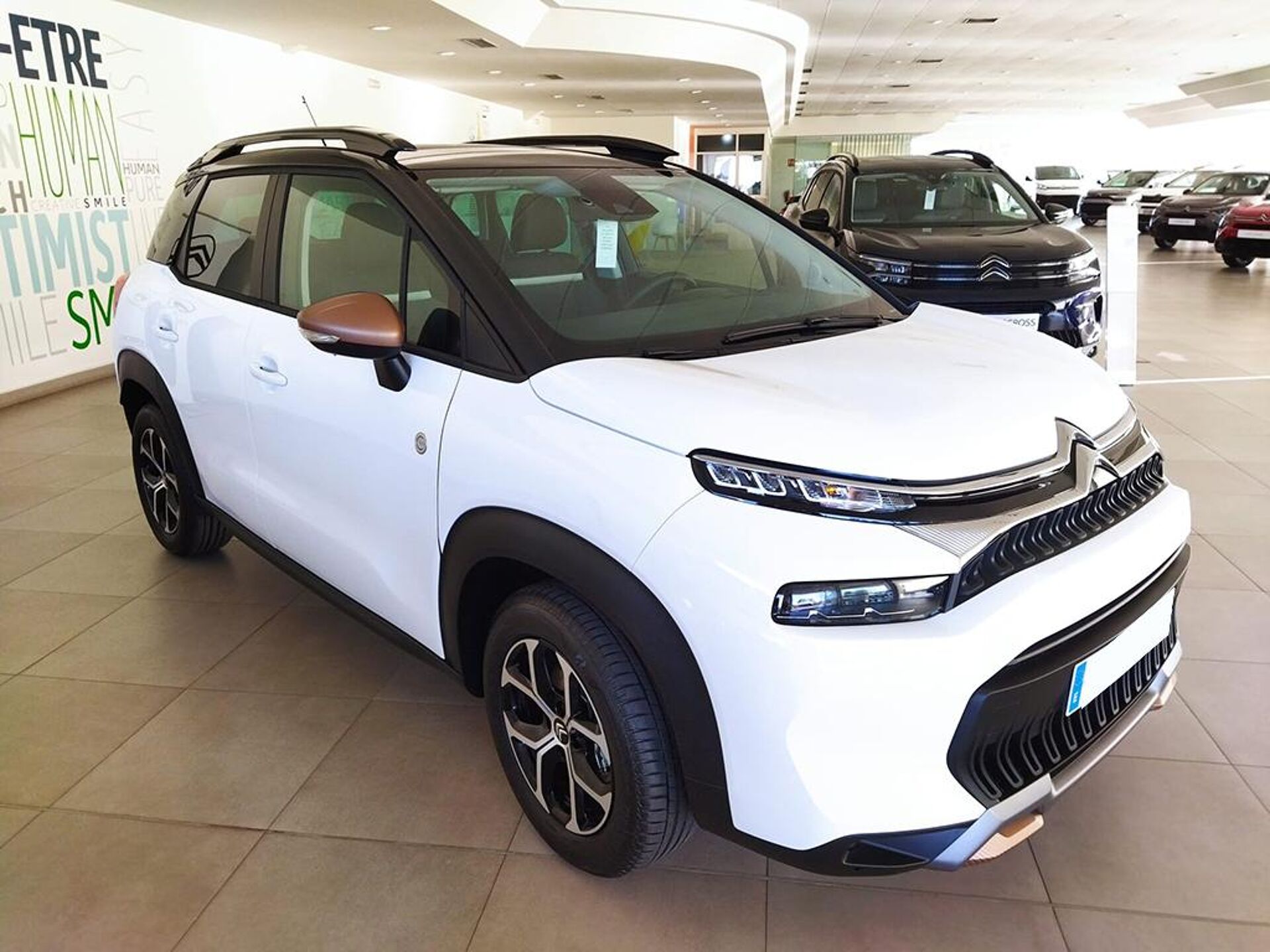 Imagen de CITROEN C3 Aircross