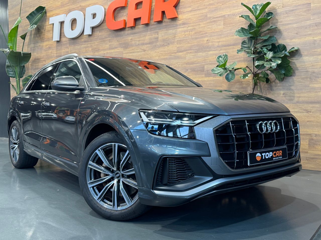 AUDI Q8 (55 TFSIe Quattro S Line  Plus  380 cv) en Vizcaya