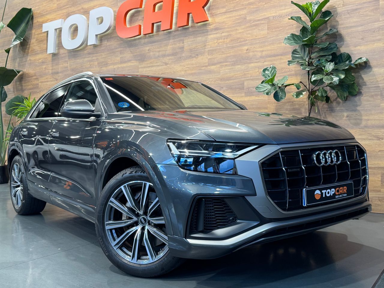 AUDI Q8 (55 TFSIe Quattro S Line  Plus  380 cv) en Vizcaya