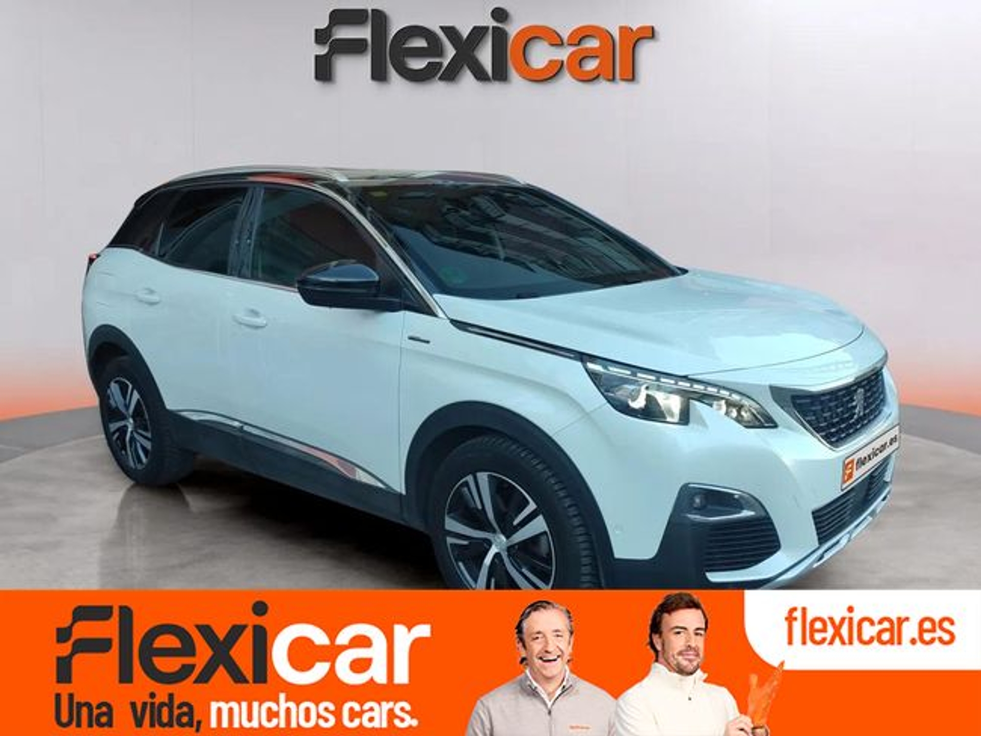 Imagen de PEUGEOT 3008