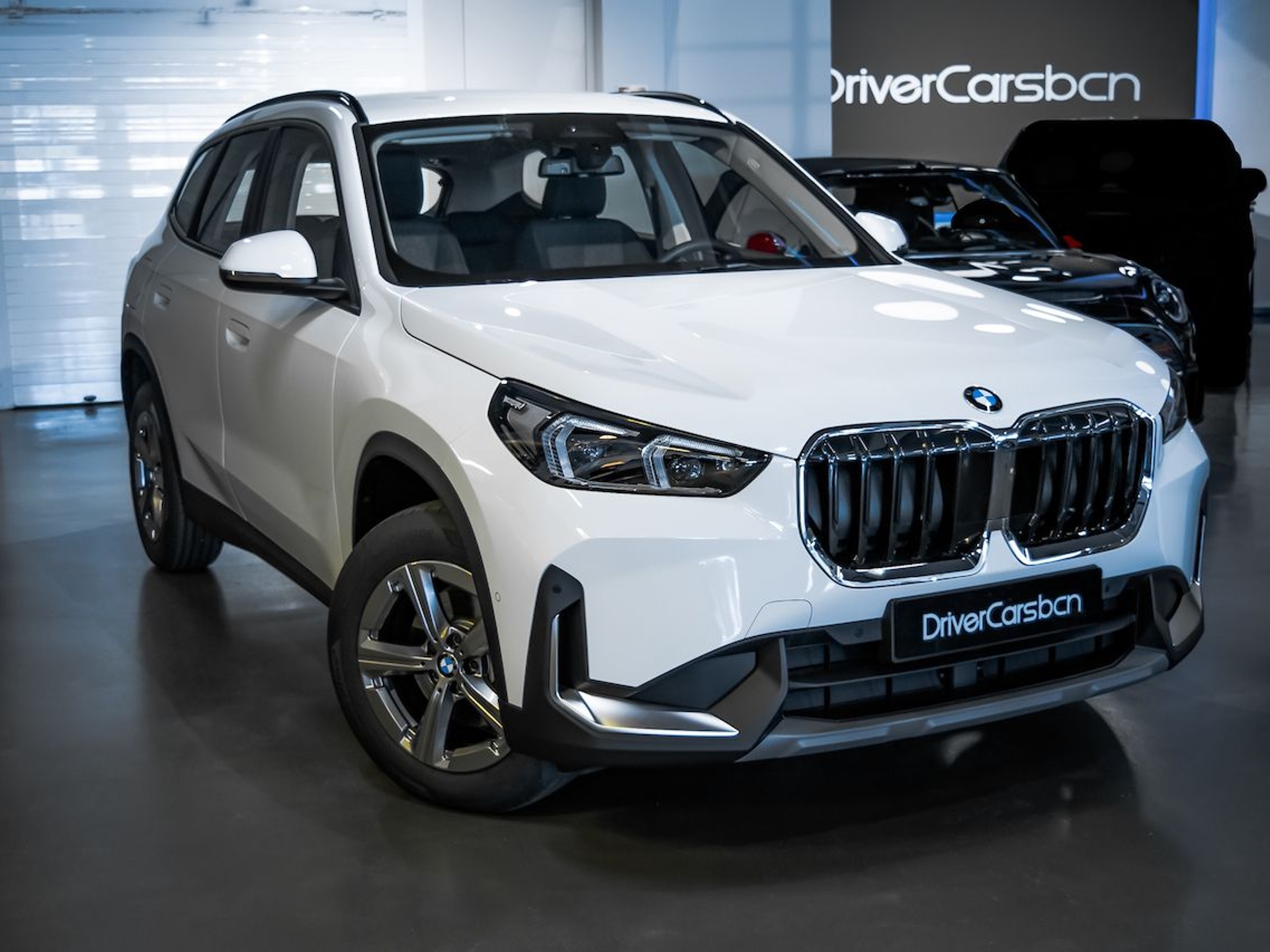 Imagen de BMW X1