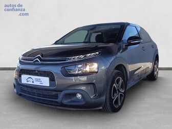 Imagen de CITROEN C4 Cactus