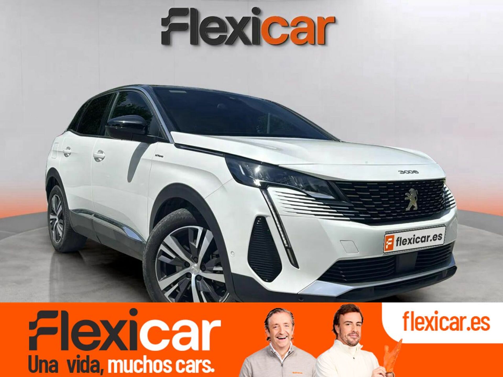 Imagen de PEUGEOT 3008