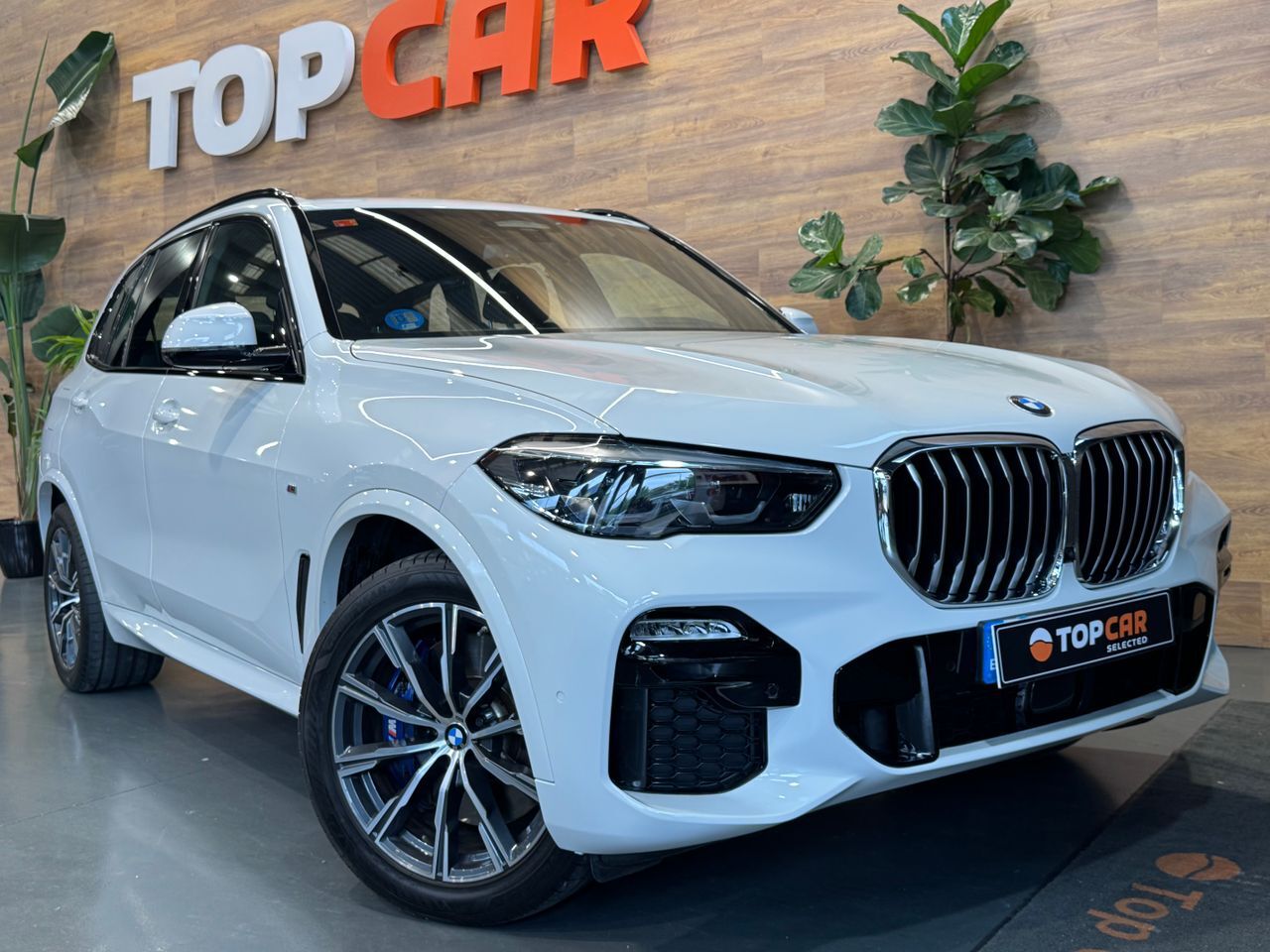BMW X5 (45e Pack M  395 cv) en Vizcaya