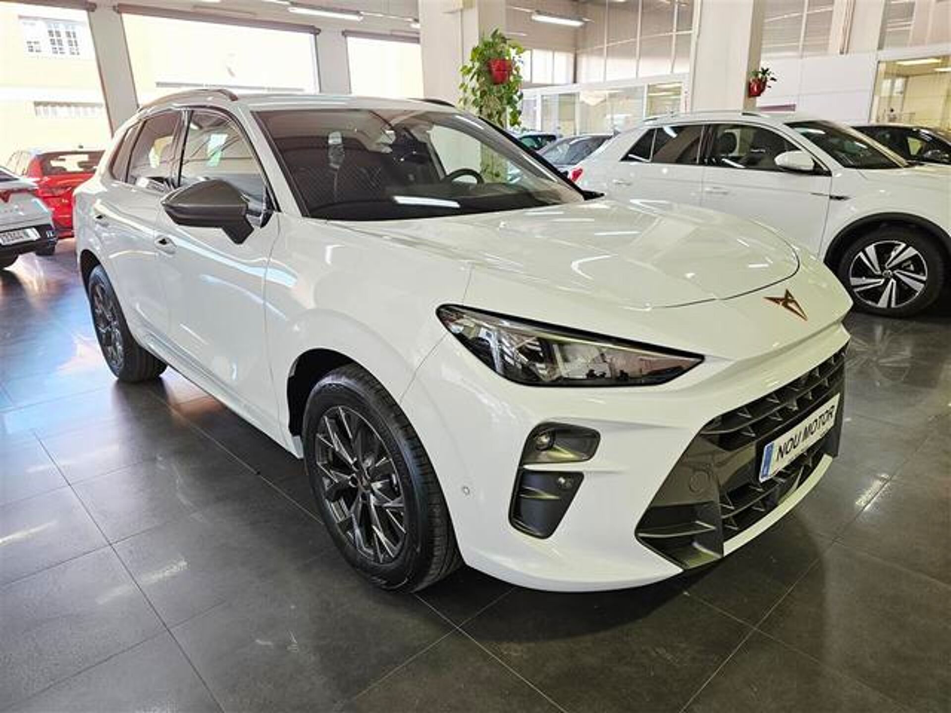 Imagen 2 de CUPRA Terramar