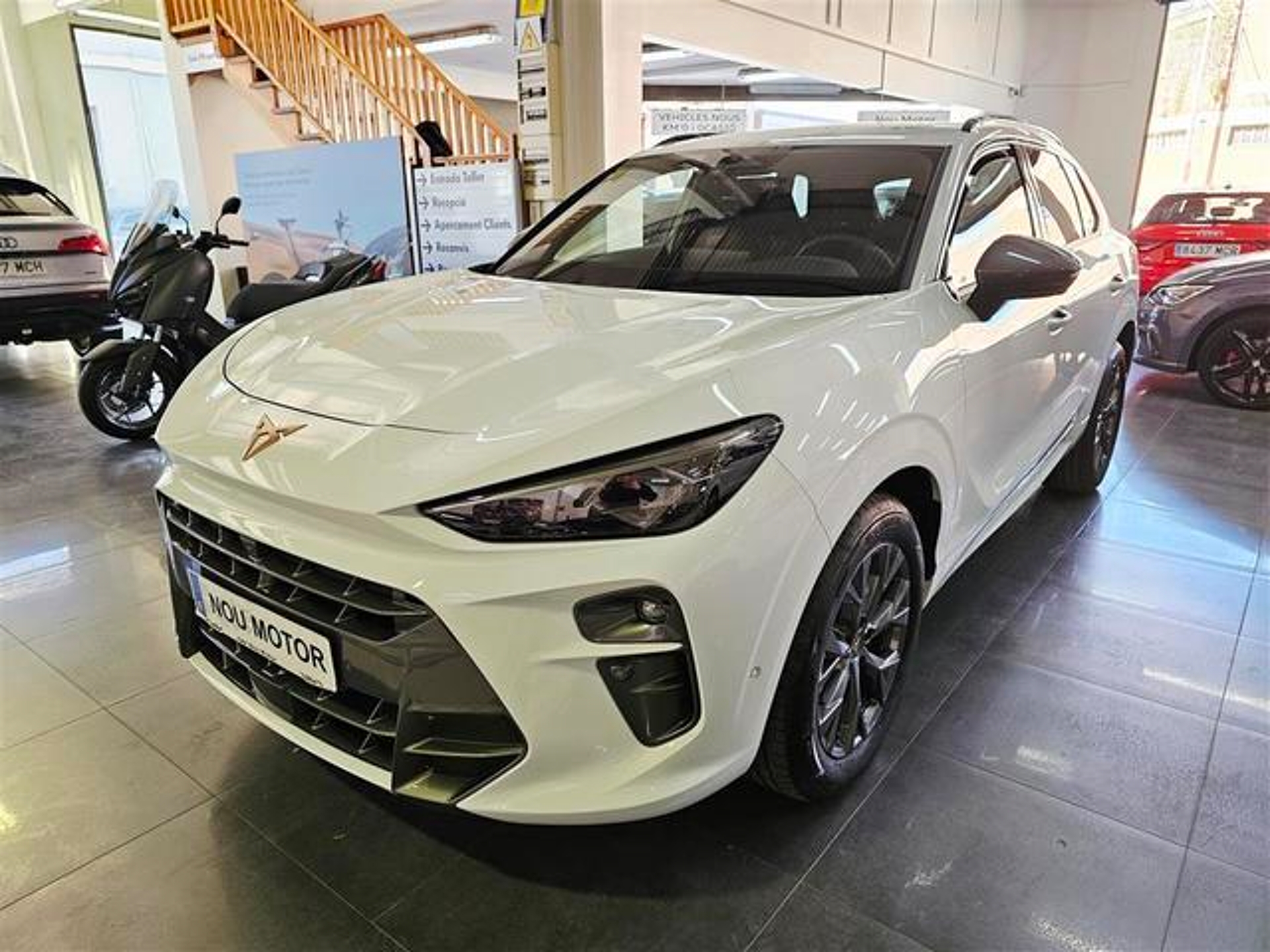 Imagen de CUPRA Terramar