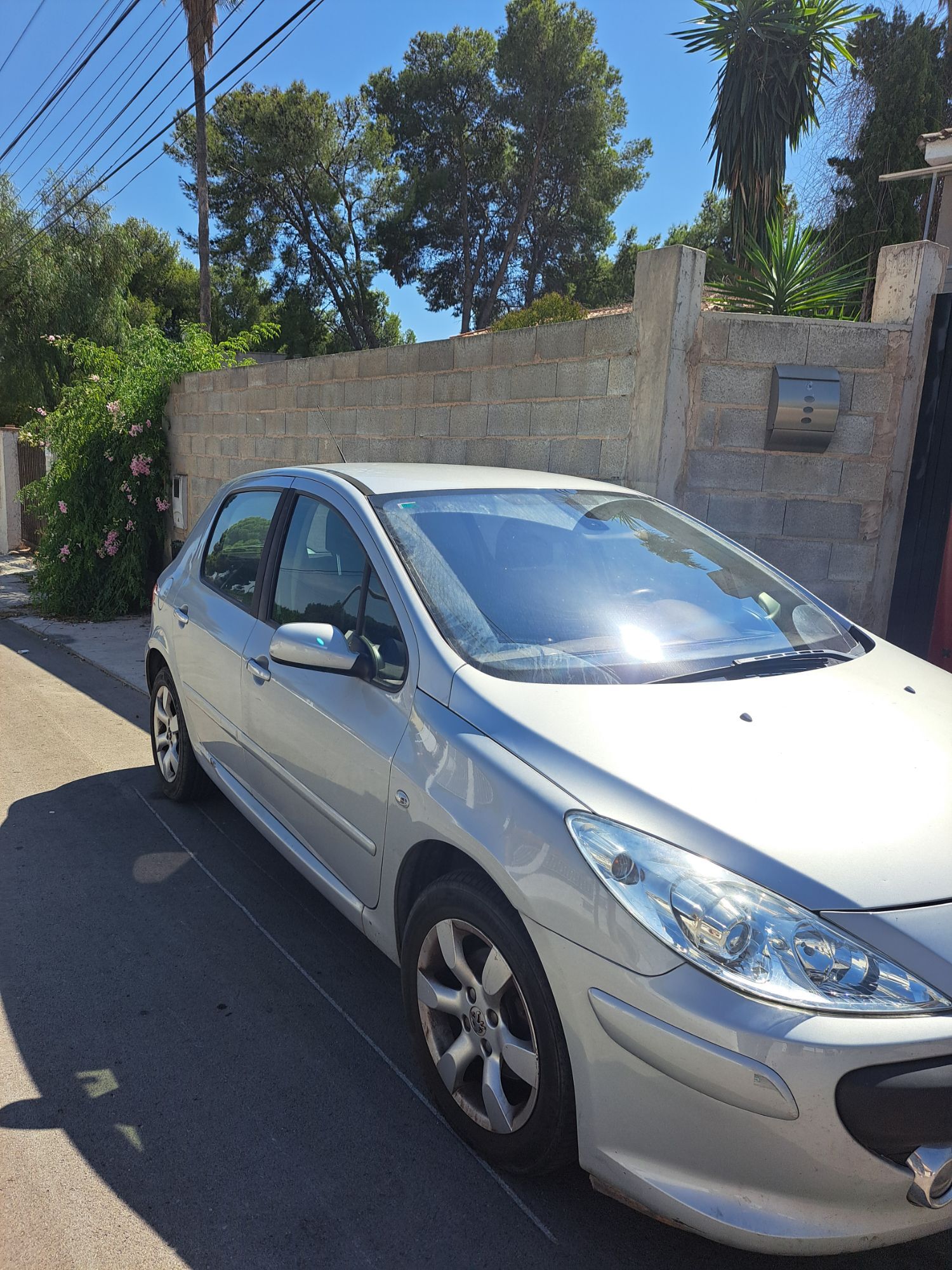 Foto del PEUGEOT 307 Break 1.6HDI D-Sign 110