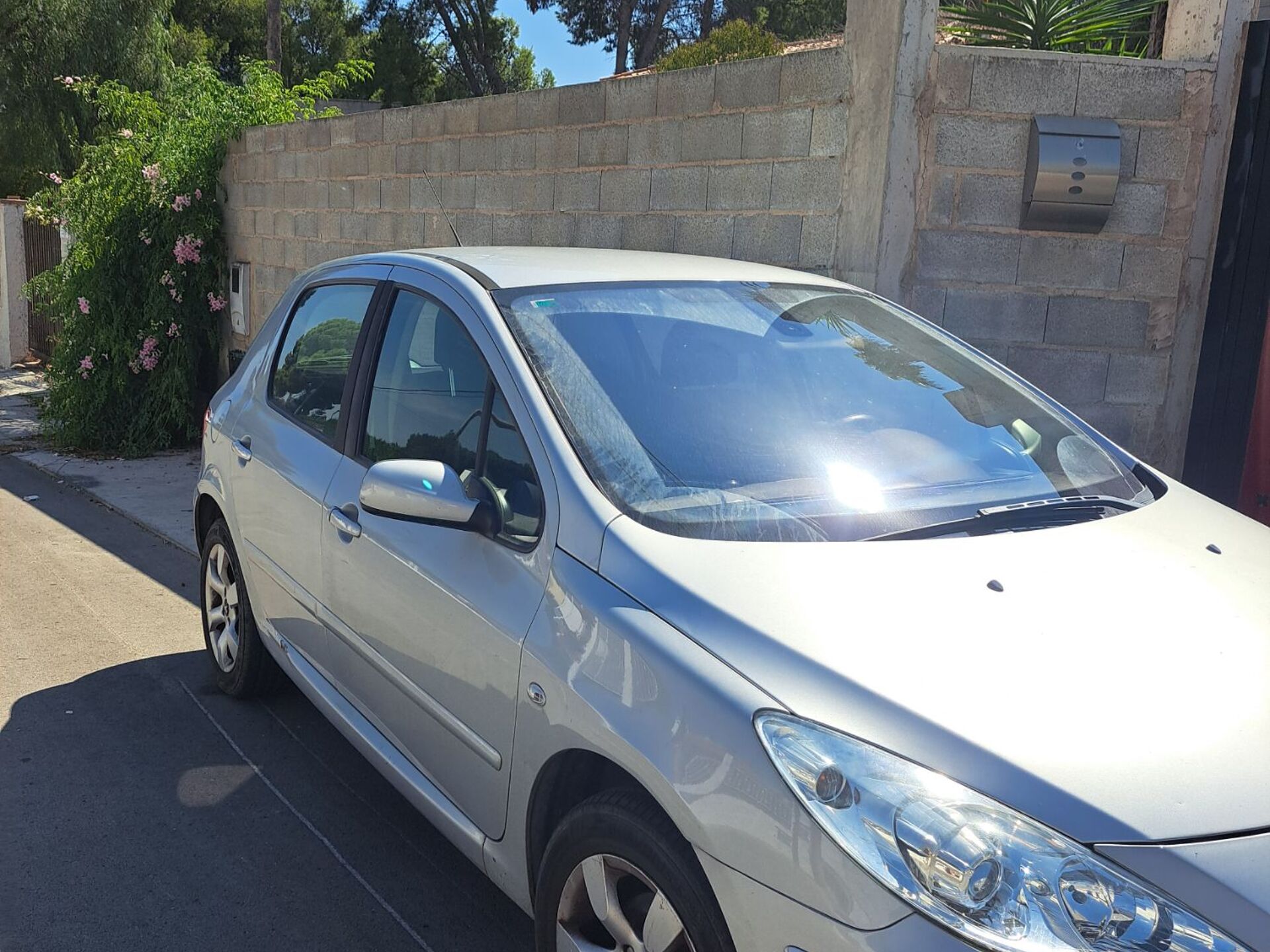 Imagen 1 de PEUGEOT 307