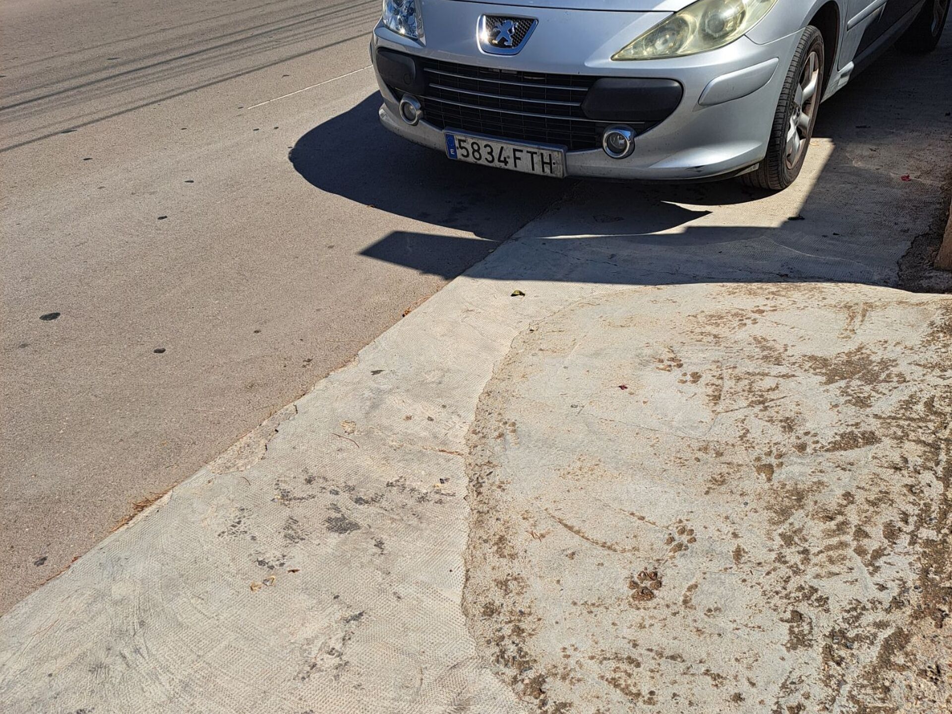 Imagen 2 de PEUGEOT 307