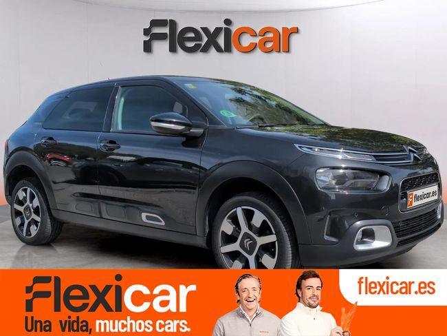 CITROEN C4 Cactus (PureTech 81KW (110CV) S&S Shine) en Madrid