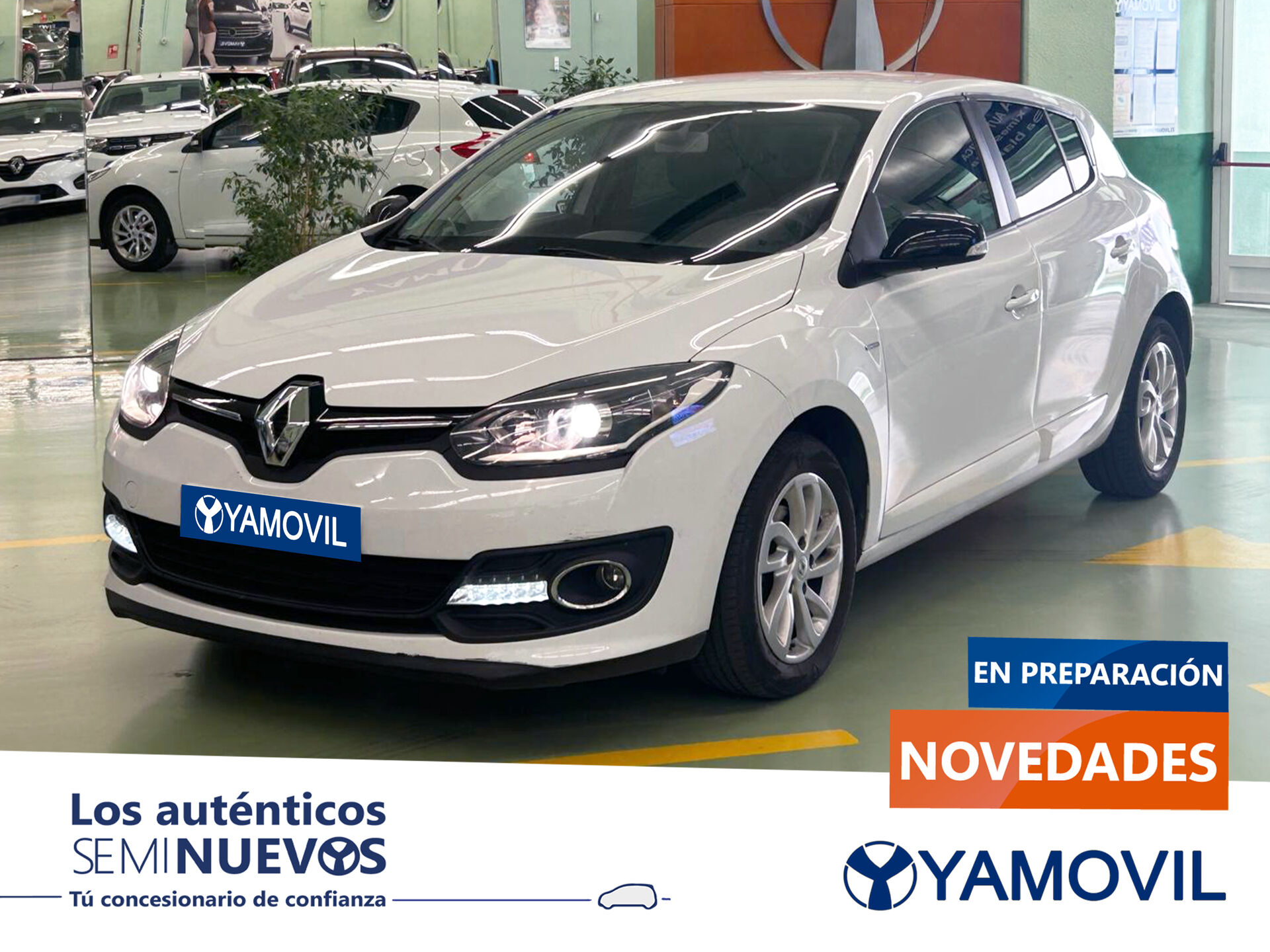 Imagen de RENAULT Mégane