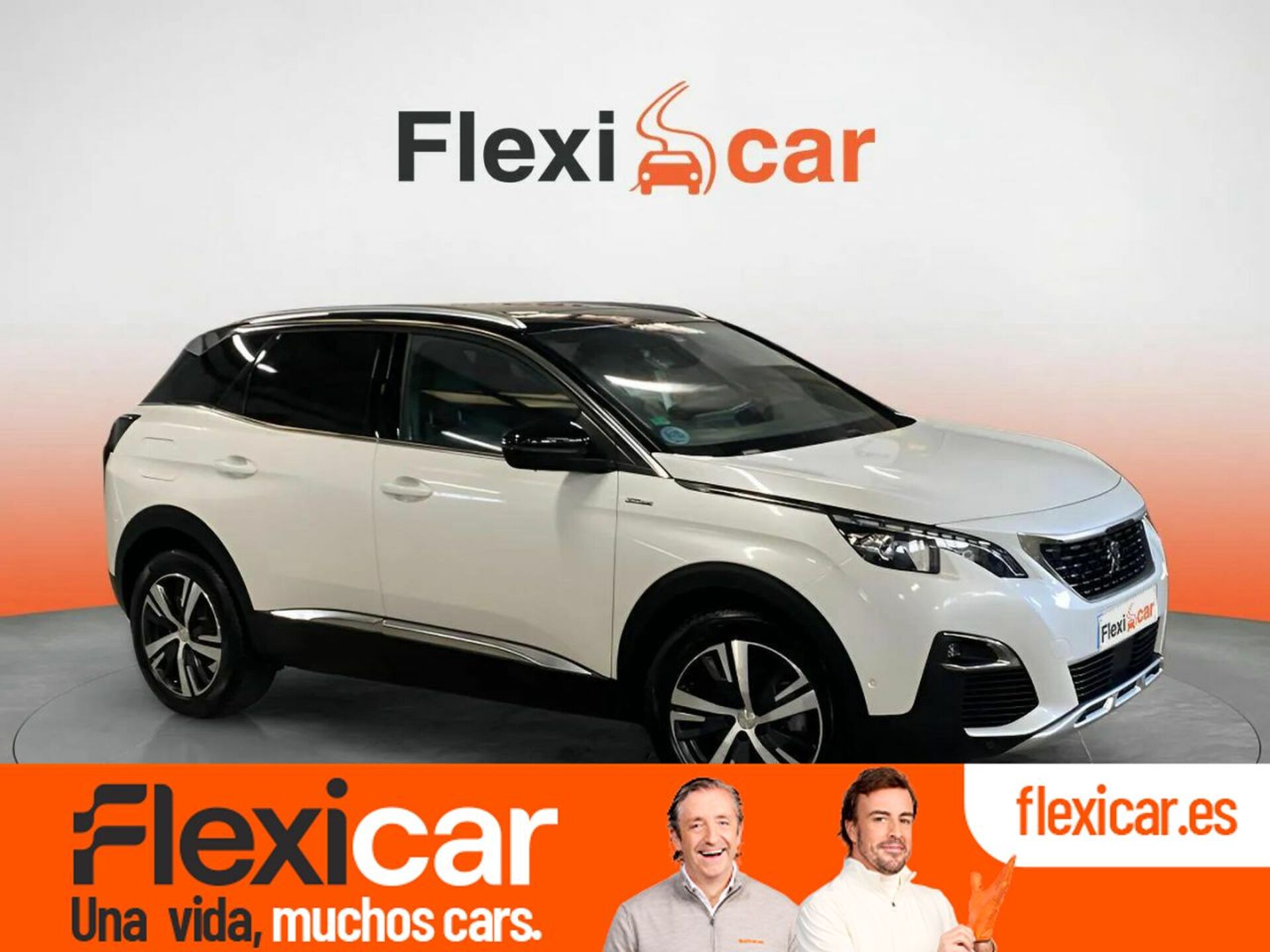 Imagen de PEUGEOT 3008