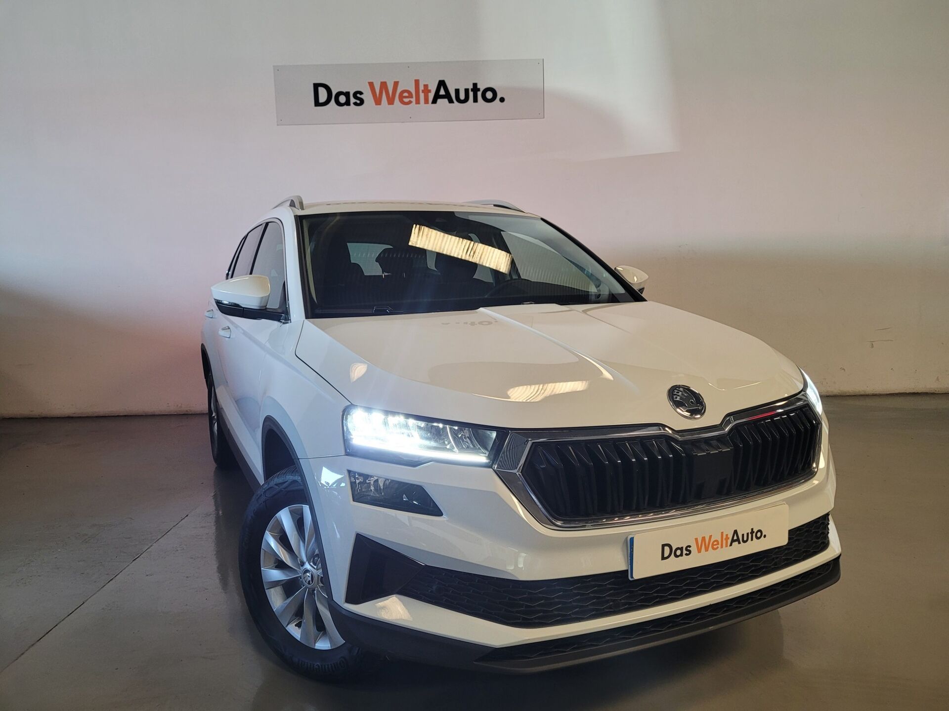 Imagen 2 de SKODA Karoq