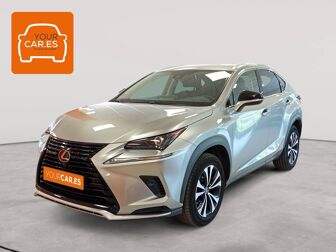 Imagen de LEXUS NX 300h Business 2WD