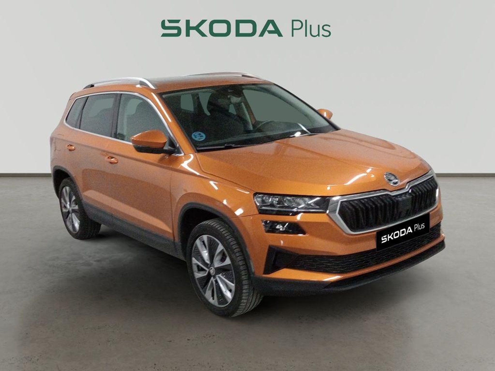 Imagen de SKODA Karoq
