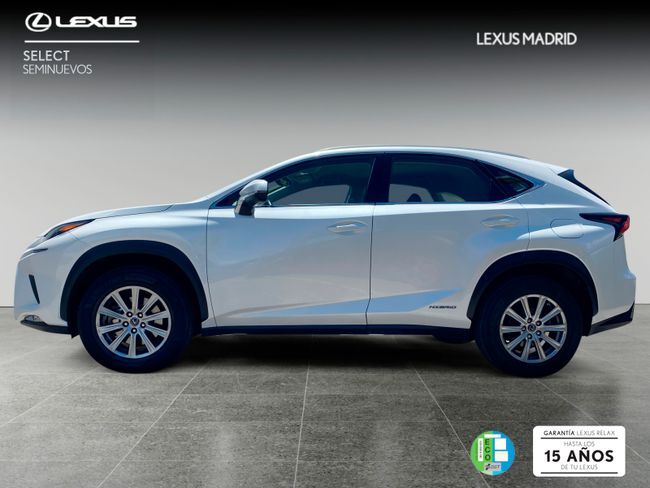 Foto del LEXUS NX 300h Business Navigation 2WD